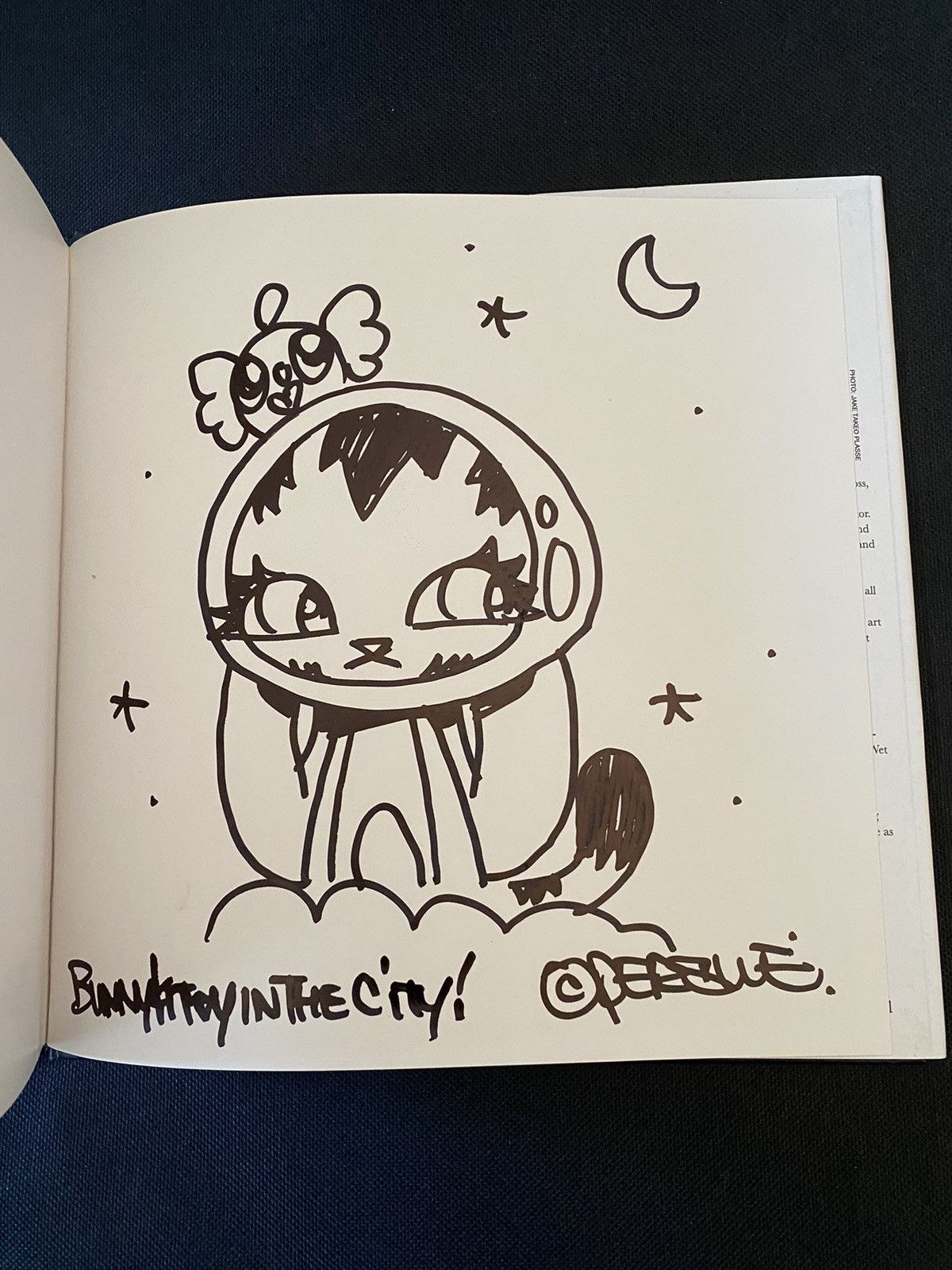 Alife Bunny Kitty signed book original art Dave Persue Size ONE SIZE - 2 Thumbnail