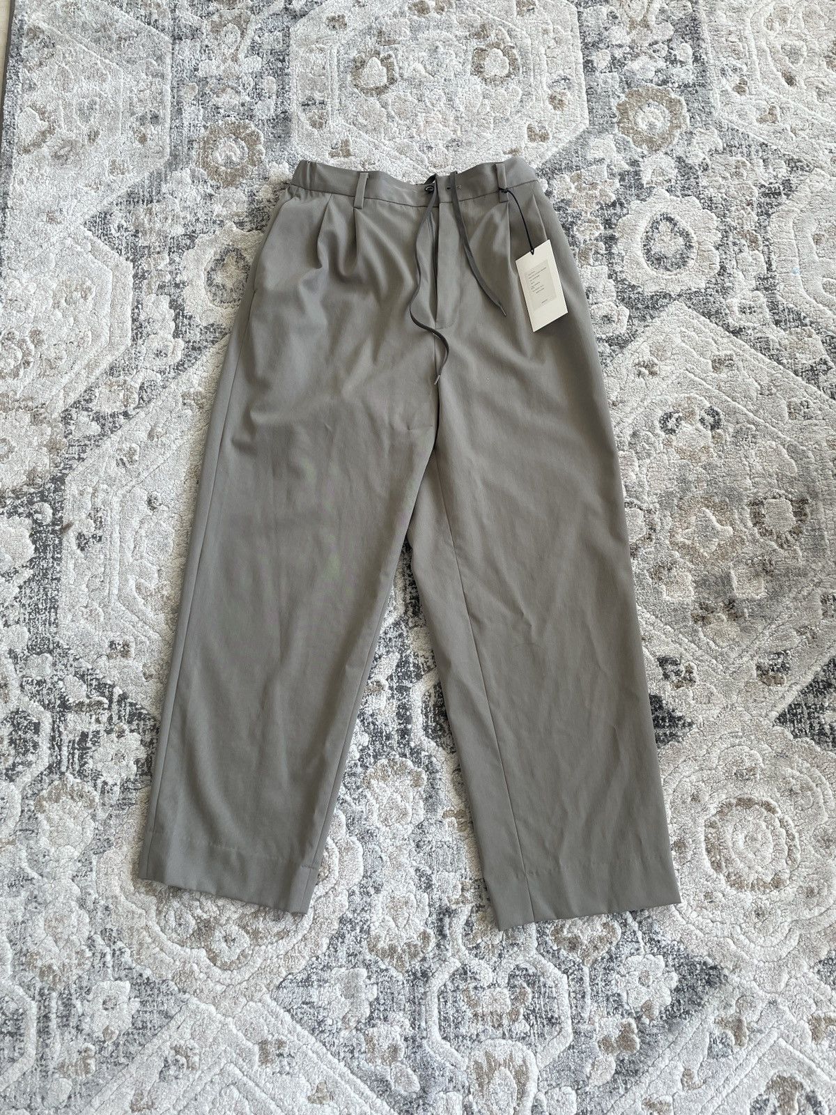 Stein Ssstein Two Tuck Easy Trouser in Taupe Beige Size US 30 / EU 46 - 1 Thumbnail