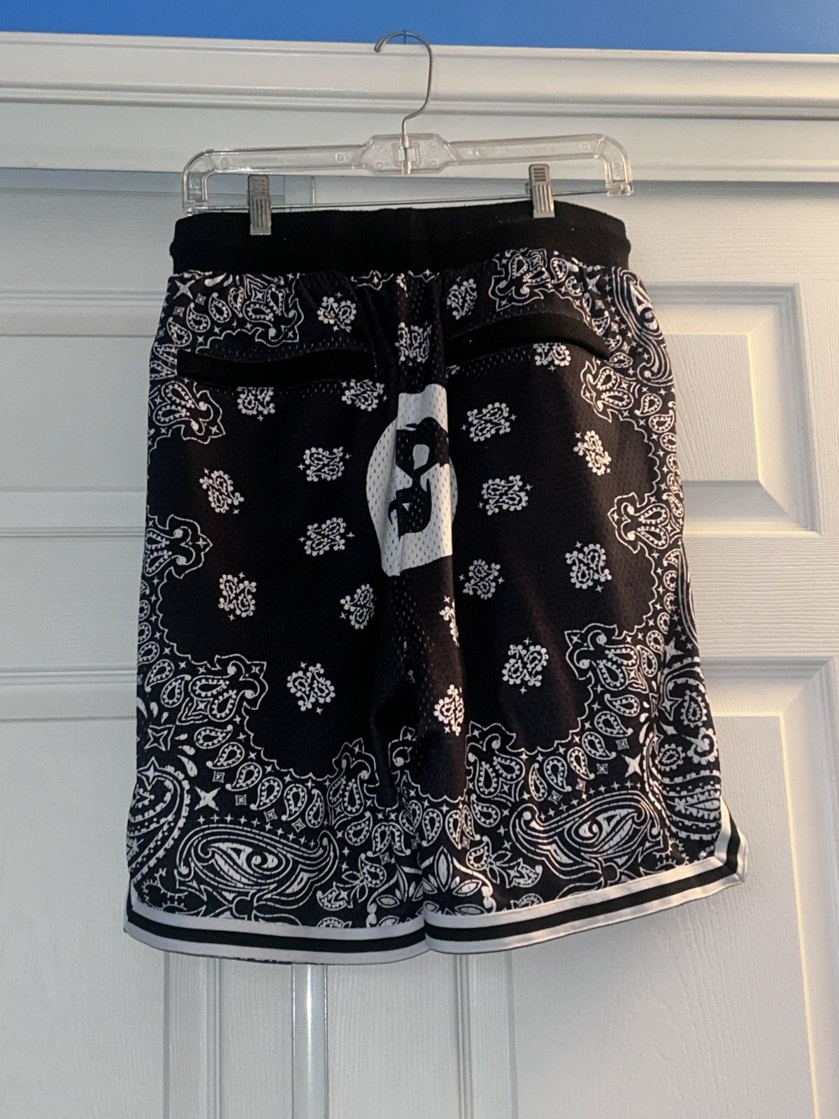 Section 8 Bandana Shorts Size US 30 / EU 46 - 2 Thumbnail