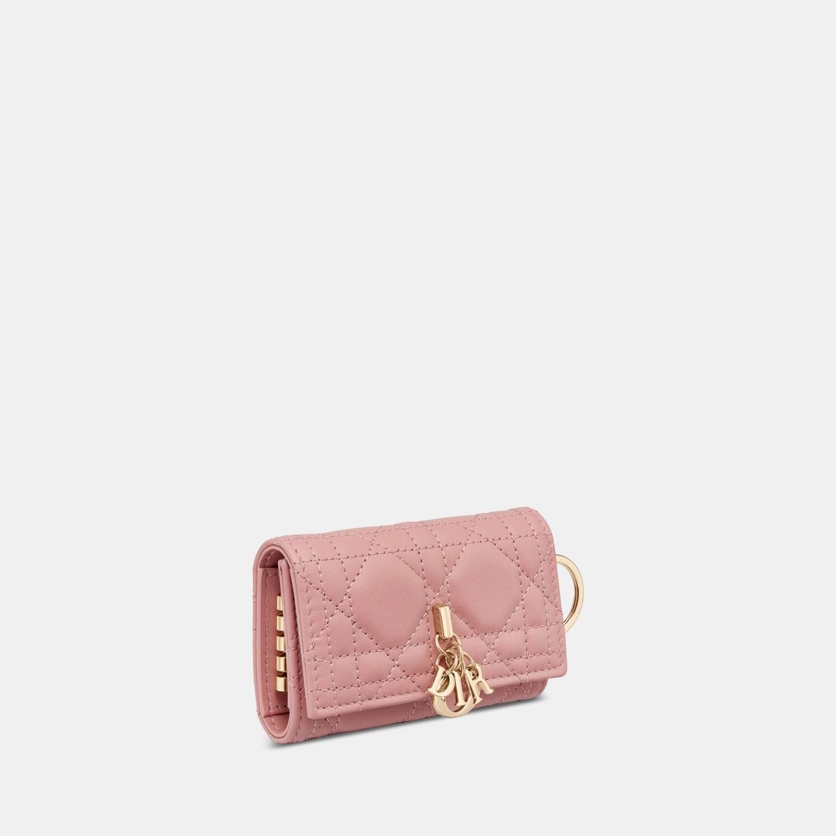 Dior o1bcso1str0226 Size:OS/ Aster Key Case in Pink Size ONE SIZE - 2 Thumbnail
