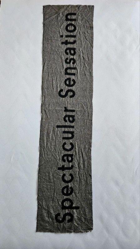 Acne Studios Gray black scarf acne studios lambswool Size ONE SIZE - 2 Thumbnail