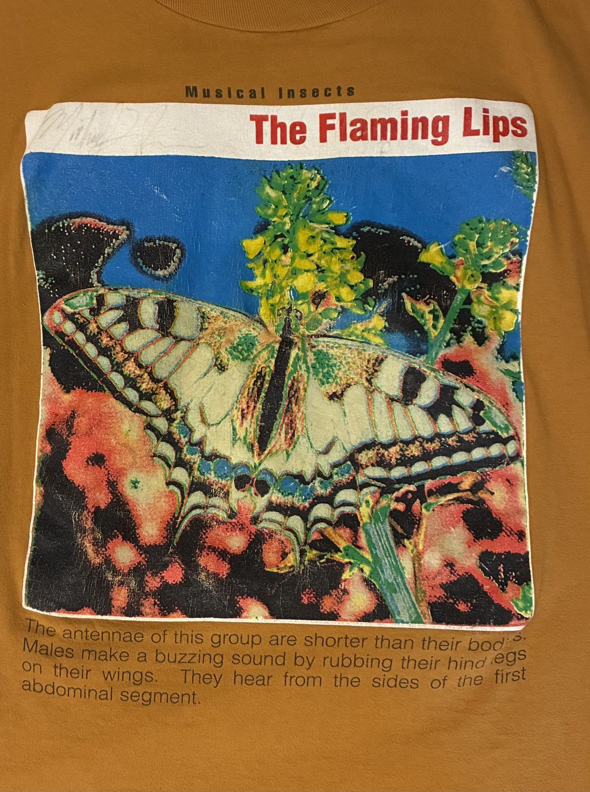 Vintage Vintage Flaming Lips T-shirt Size US XL / EU 56 / 4 - 3 Thumbnail