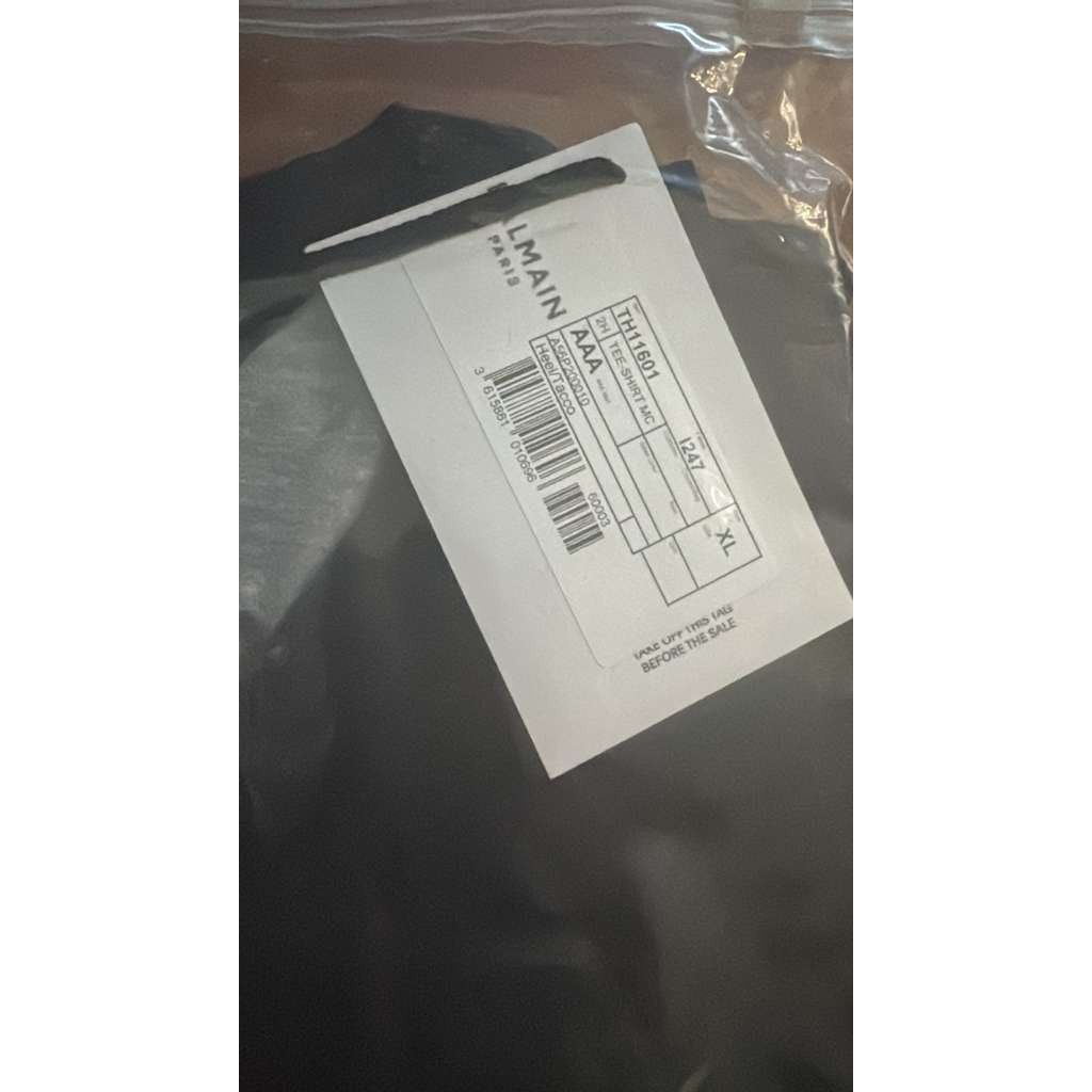 Balmain o1rshd1 Eagle & Balmain Logo Print Distressed T-Shirt Size US XL / EU 56 / 4 - 13 Thumbnail