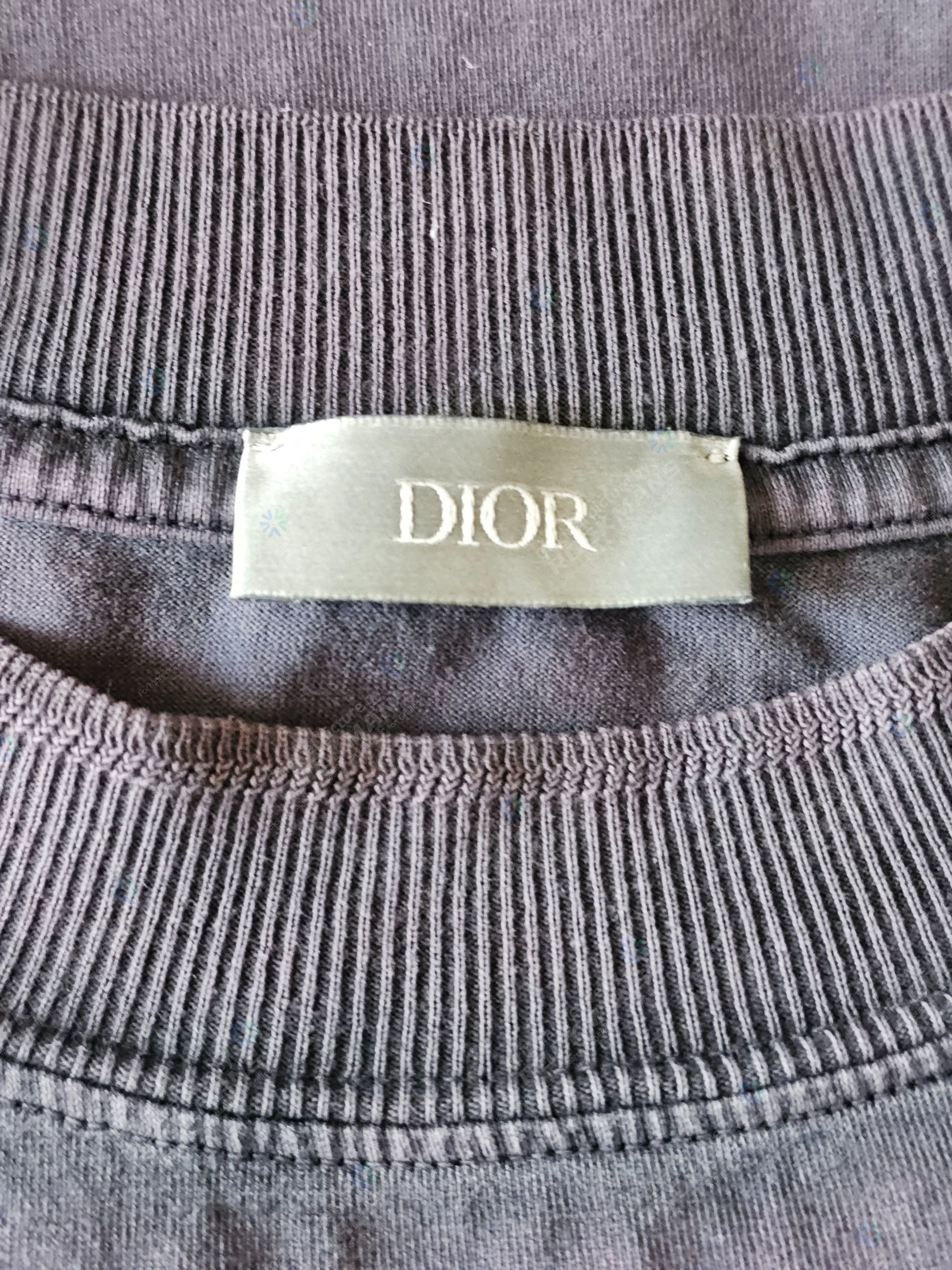 Dior Dior x Peter Doig Mauve Lion Embroidery Purple T-Shirt M Size US M / EU 48-50 / 2 - 6 Thumbnail