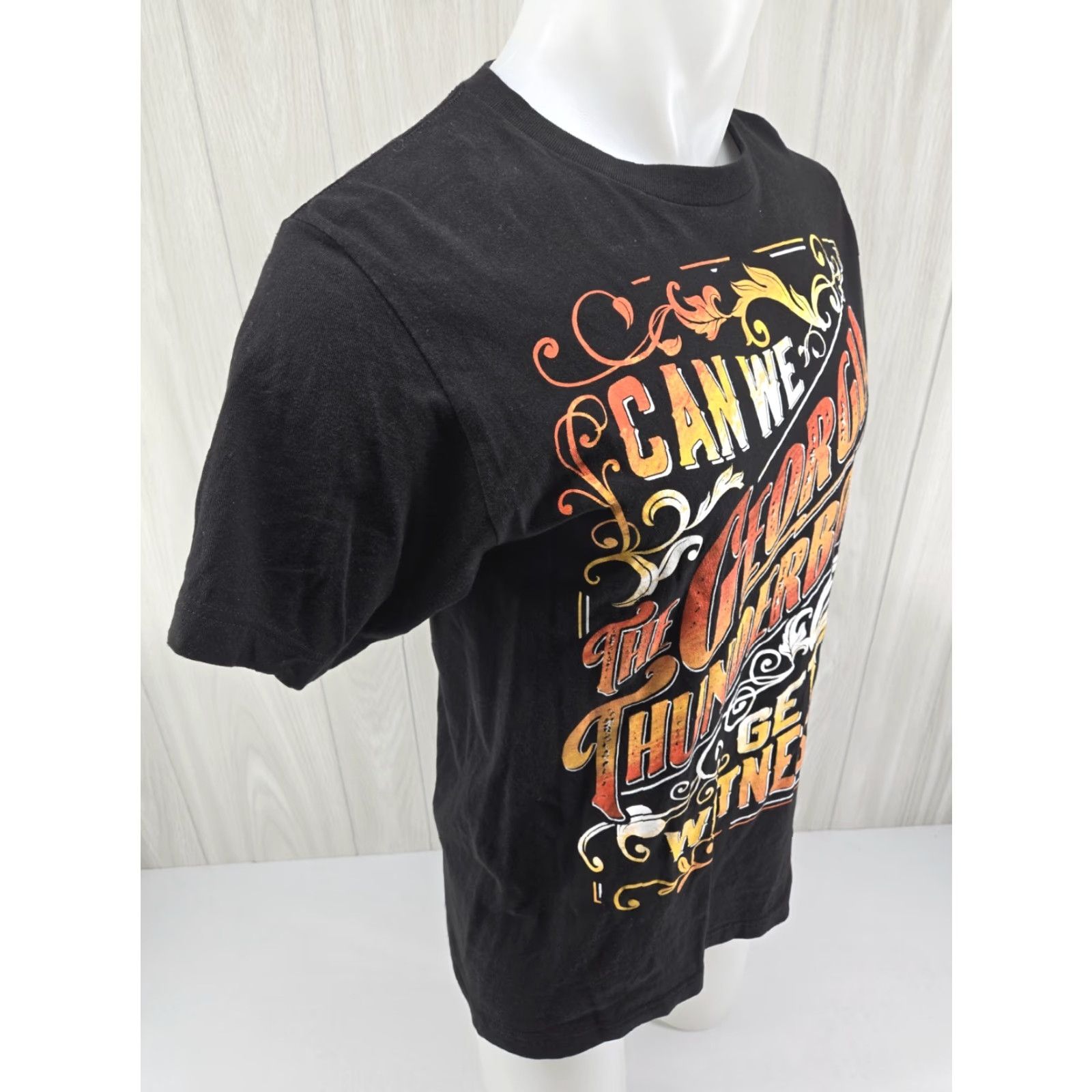 Tultex VINTAGE The Georgia Thunderbolts Can We Get A Witness T Shirt Black Cotton M Mens Short Sleeve Crew Neck 2020-2029 Tultex Sportsman All Seasons Size US M / EU 48-50 / 2 - 7 Thumbnail