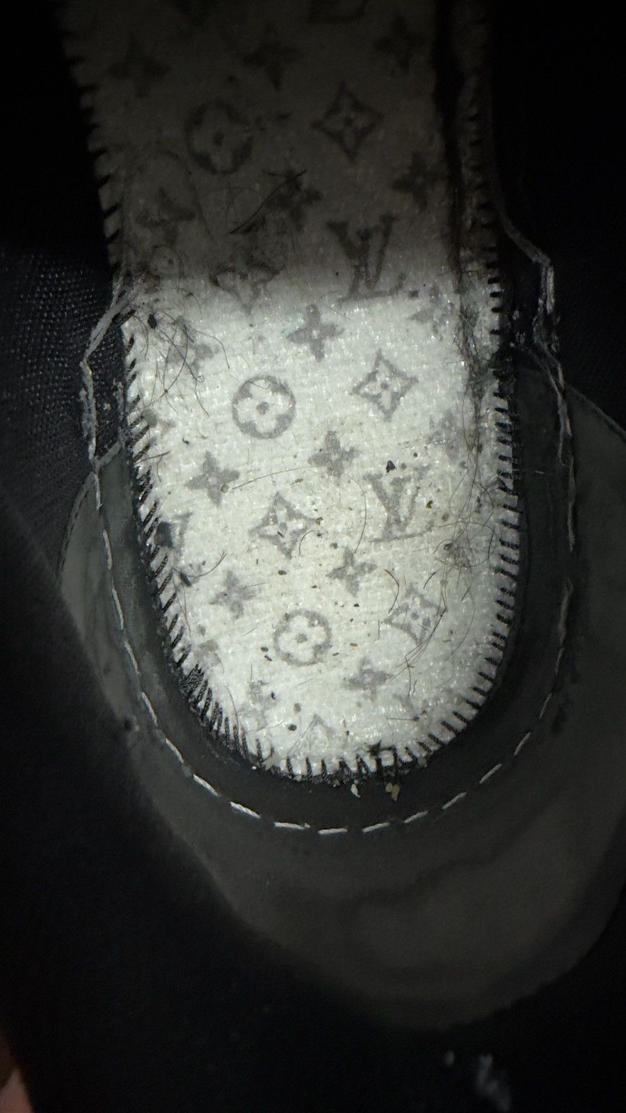 Louis Vuitton Louis Vuitton trainers Size US 8 / EU 41 - 20 Thumbnail
