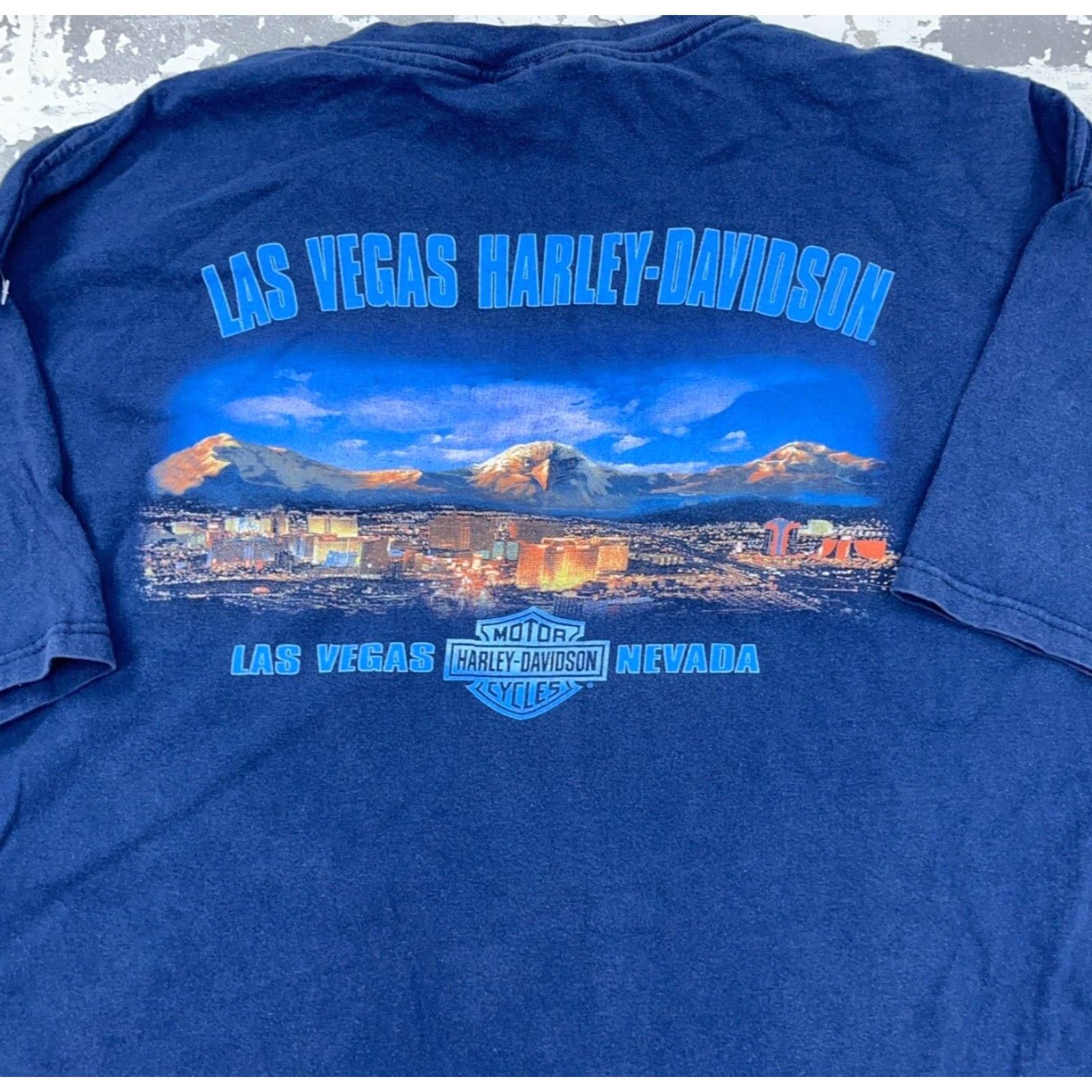 Harley Davidson VINTAGE Harley-Davidson Shirt Men XL Blue Tee Biker Retro USA Eagle Nature" Size US XL / EU 56 / 4 - 2 Thumbnail