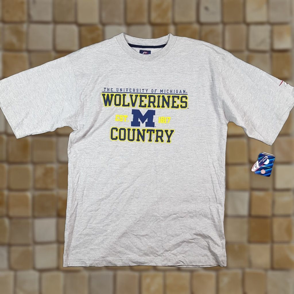 Pro Player Vintage Pro Player Michigan Wolverines College Football T-Shirt Men’s Medium Gray 2000s Y2K Logo Embroidered Size US M / EU 48-50 / 2 - 1 Thumbnail