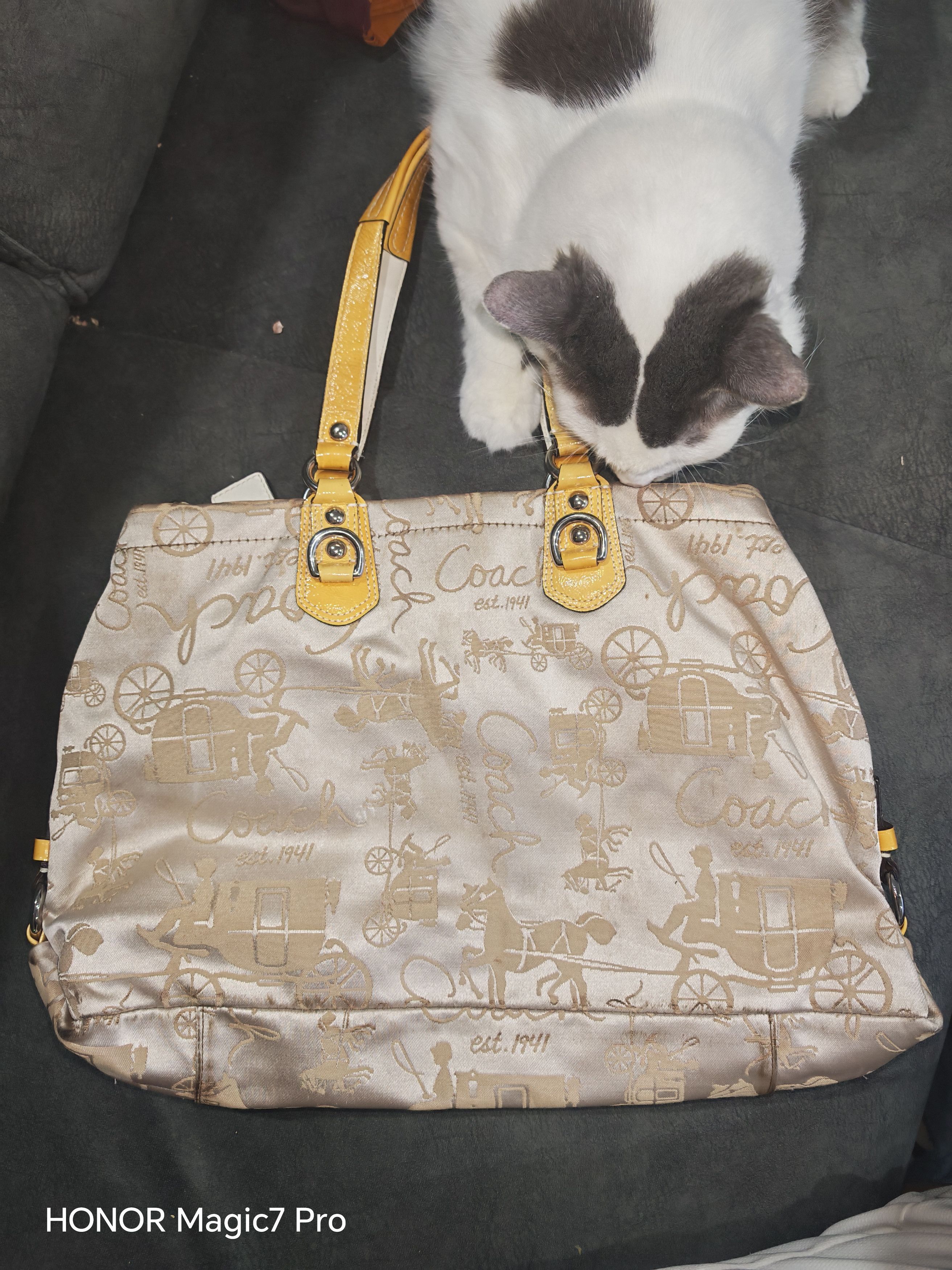 Coach COACH M1050-F15656 Yellow and Gold Handbag Size ONE SIZE - 5 Thumbnail