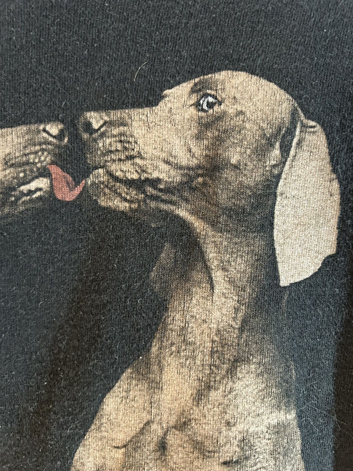 Vintage Willam Wegman Weimaraner 90s Size US L / EU 52-54 / 3 - 3 Thumbnail