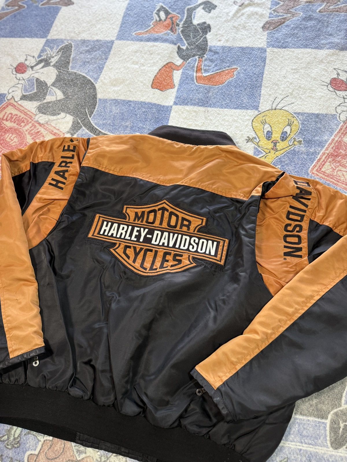 Harley Davidson Harley Davidson bomber biker jacket Size US XL / EU 56 / 4 - 4 Thumbnail