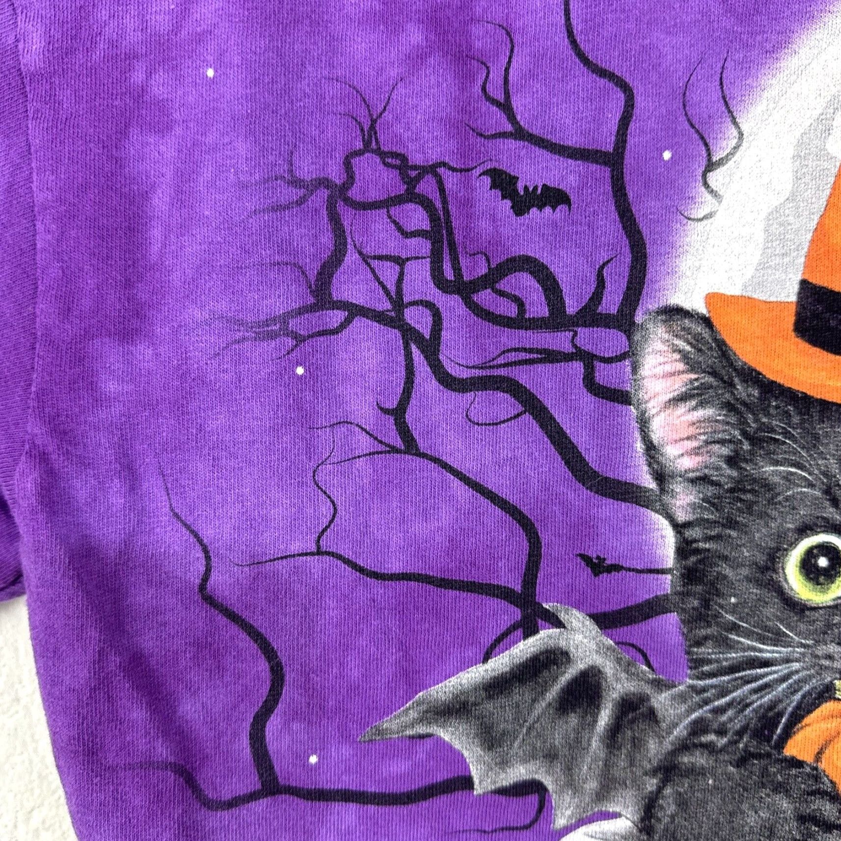 The Mountain VINTAGE The Mountain Halloween Cat T-Shirt Unisex Adults Medium Purple Fall Spring Summer Winter Graphic Size US M / EU 48-50 / 2 - 7 Thumbnail