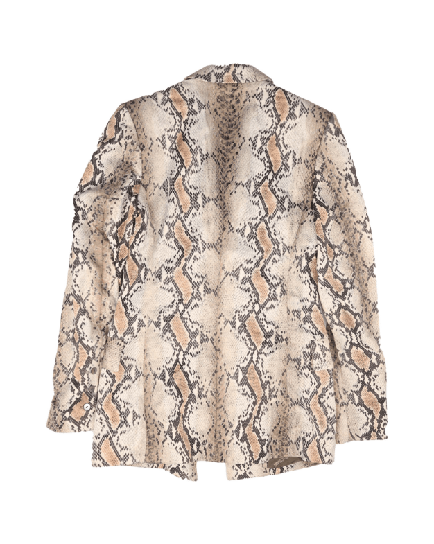 Roberto Cavalli Women's Roberto Cavalli Snakeskin Print Blazer Size S Size S / US 4 / IT 40 - 2 Thumbnail