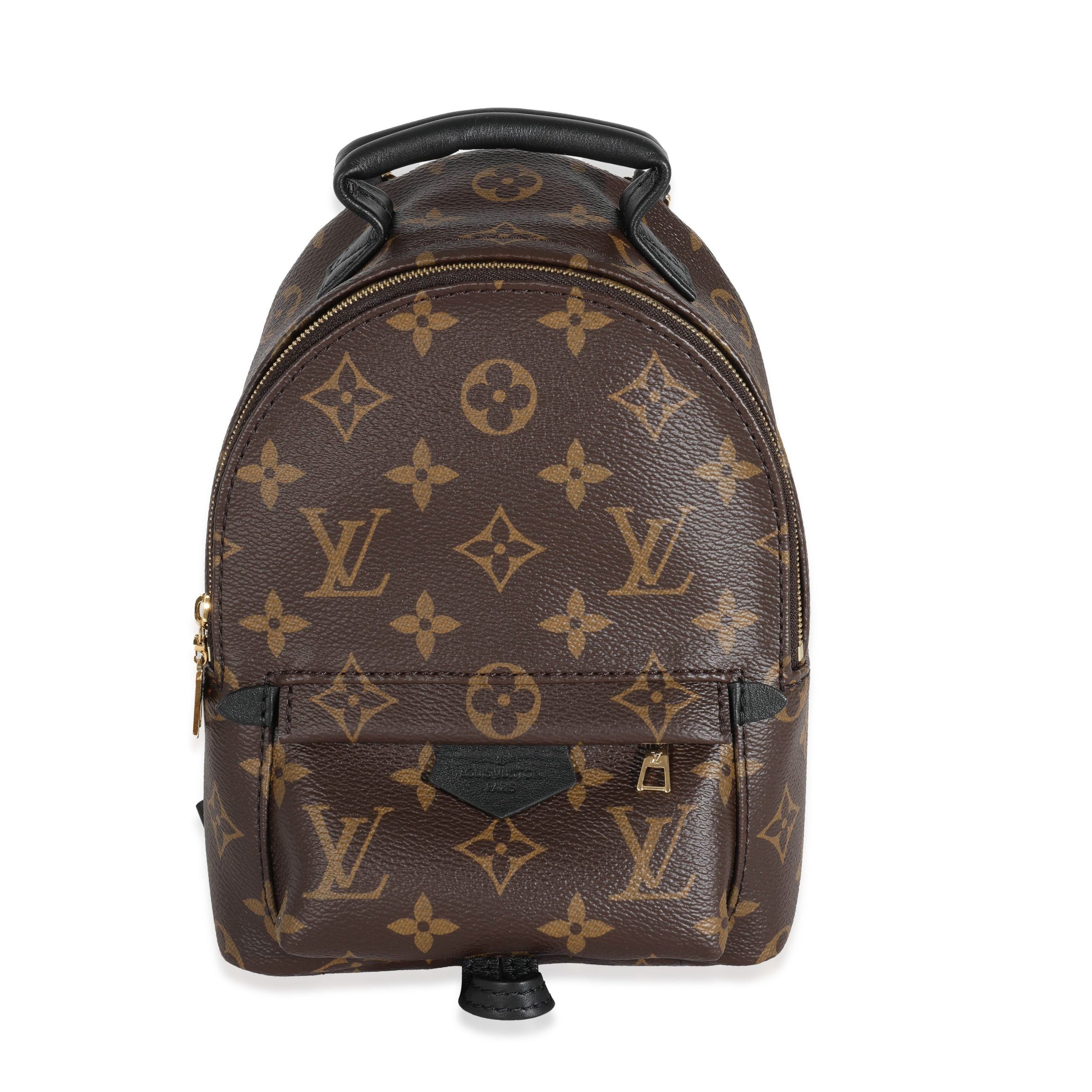 image of Louis Vuitton Monogram Canvas Mini Palm Spring Backpack in Brown, Women's