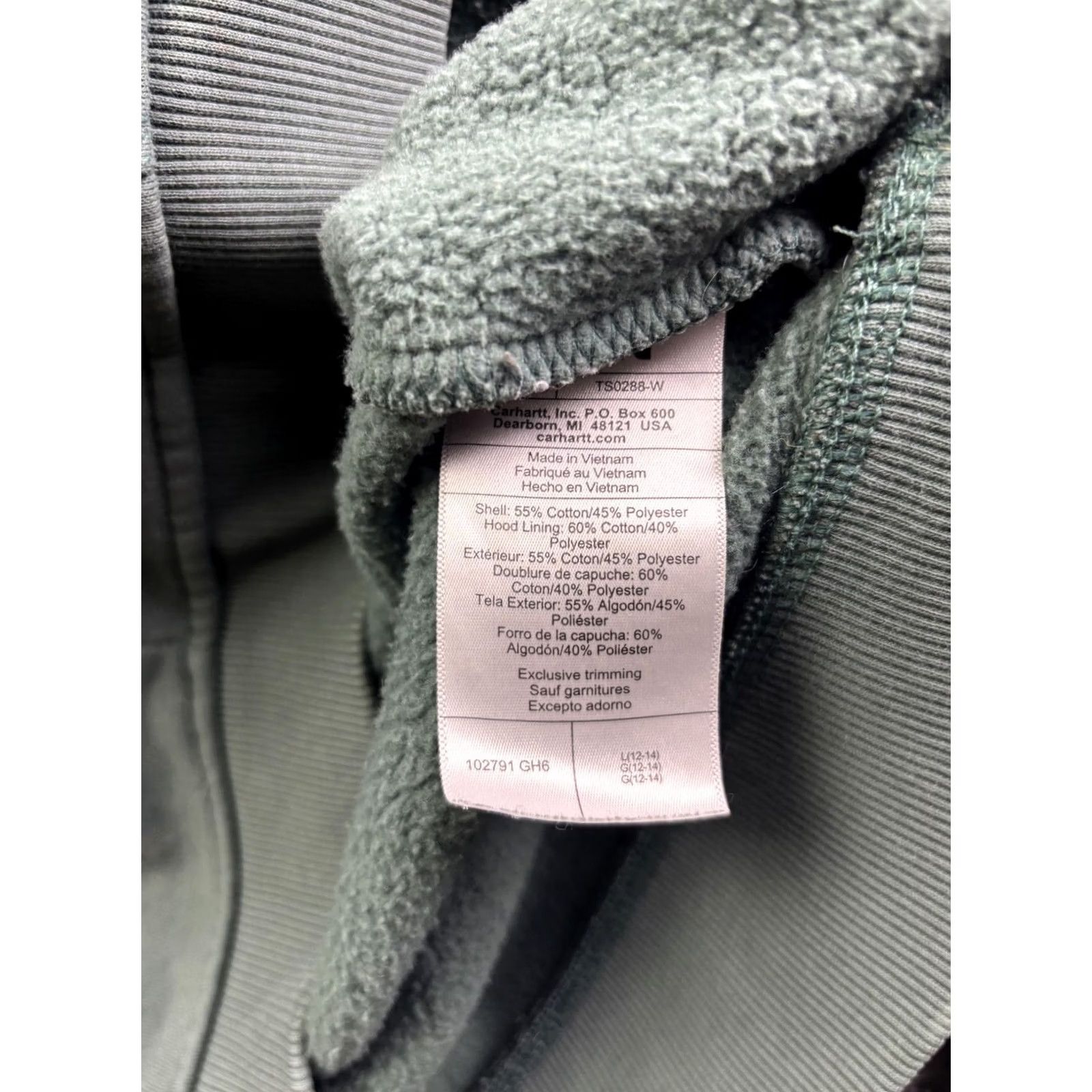 Carhartt Carhartt Hoodie Womens Large Green Fleece Pullover Logo Sleeve Casual Sweatshirt - Relaxed Fit | Crew Neck | Knit Cuff Hem - Winter Size L / US 10 / IT 46 - 6 Thumbnail