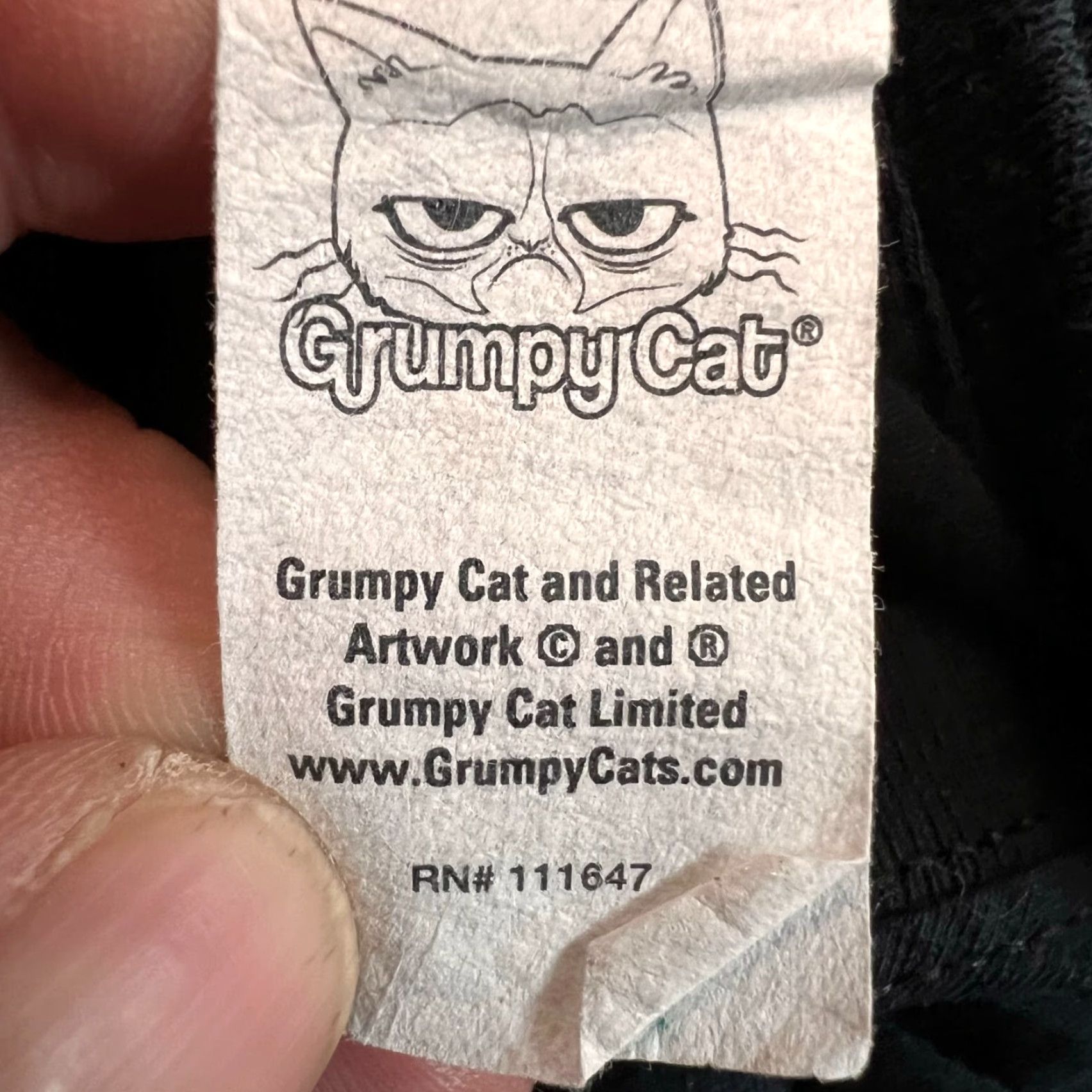 Vintage Grumpy Cat Long Sleeve Shirt Adult XXL Black I Had Fun Once It Was Awful Cat Graphic Print Mens 2XL Black Size US XXL / EU 58 / 5 - 4 Thumbnail