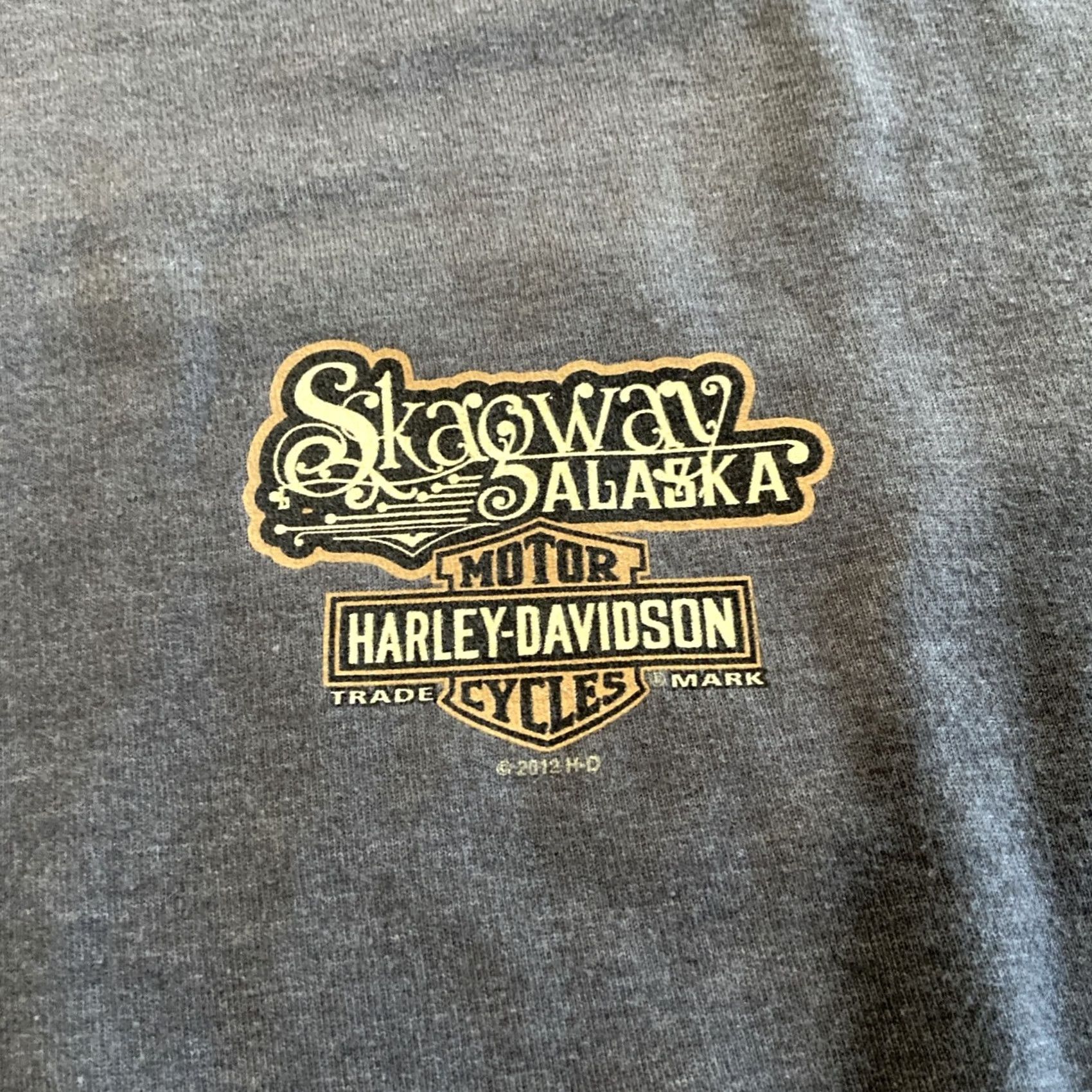 Harley Davidson VINTAGE Harley-Davidson Chilkoot Pass Skagway Alaska Shirt XL Gray Men Crew Neck Short Sleeve Cotton T-Shirt Biker Motorcycle 2012 Outpost Size US XL / EU 56 / 4 - 2 Thumbnail