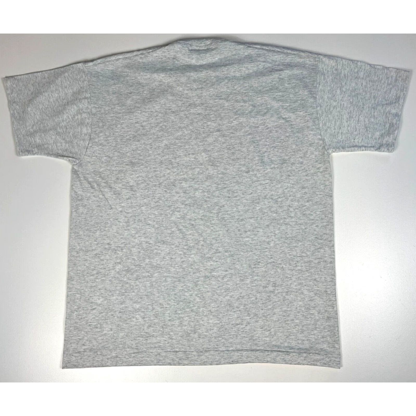 Fruit Of The Loom VINTAGE Fruit of the Loom T-Shirt Men’s 90s XL Gray Rainbow Lifeguard Aquarium Products 90s Theme Size US XL / EU 56 / 4 - 2 Thumbnail