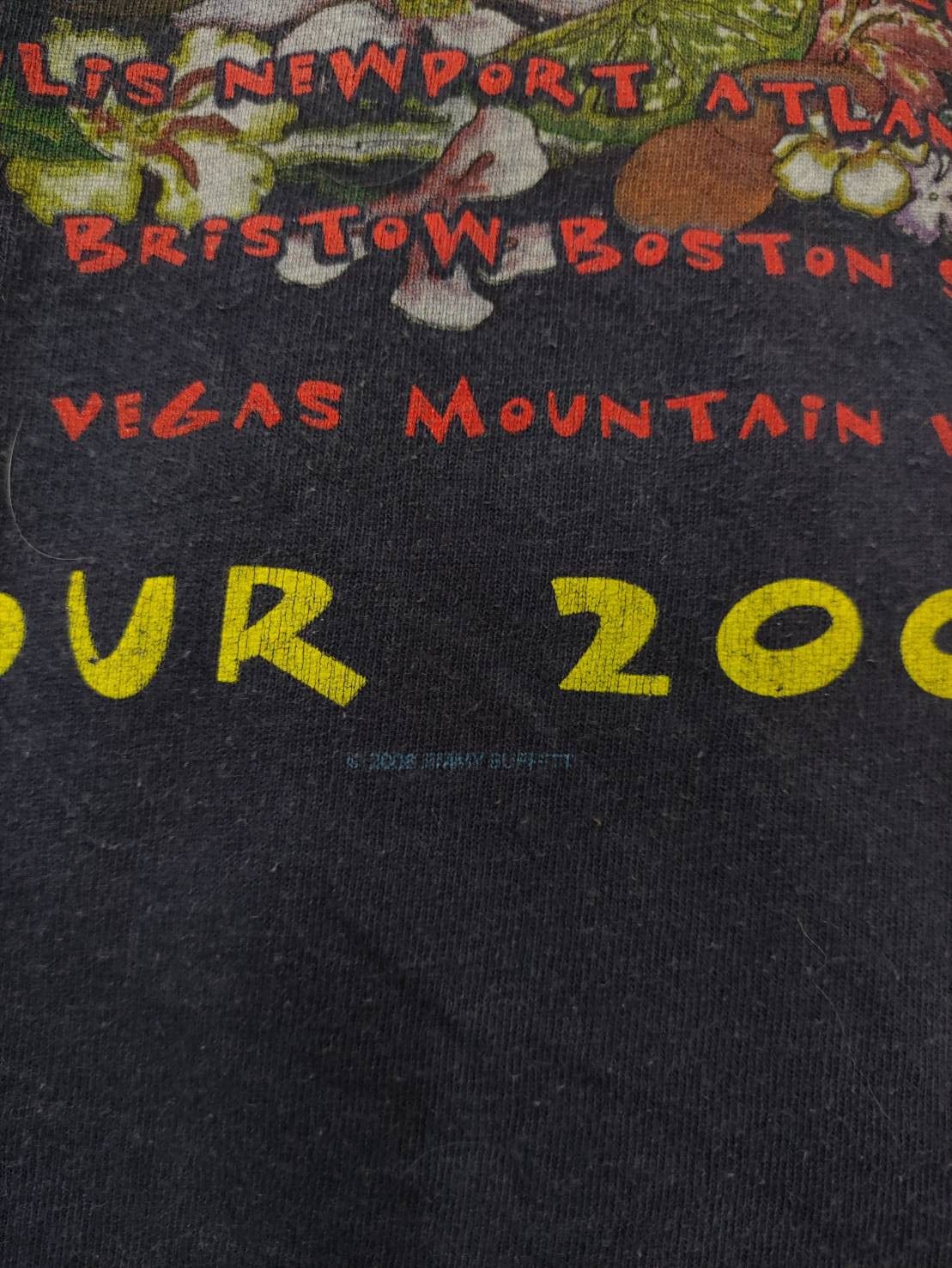 Band Tees Vtg 00's Jimmy Buffett The Year Of Still Here Tour T-Shirt Size US XL / EU 56 / 4 - 9 Thumbnail