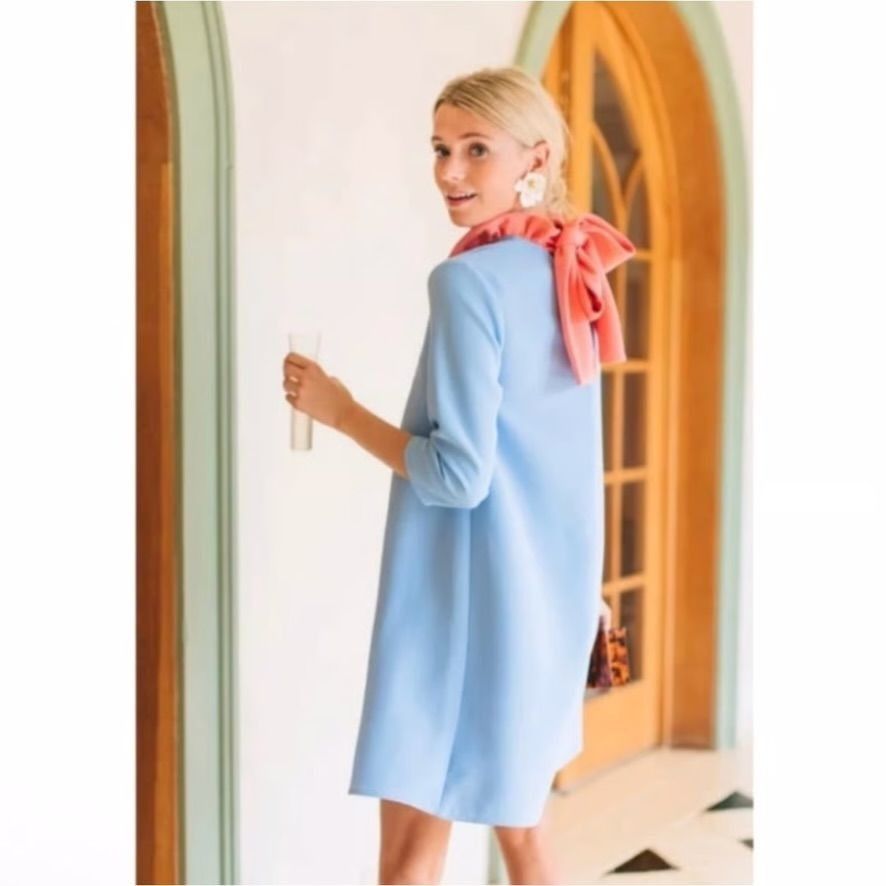 Other Tuckernuck Dress M Blue Pink Ruffle Collar Swing Bow Size M / US 6-8 / IT 42-44 - 1 Thumbnail