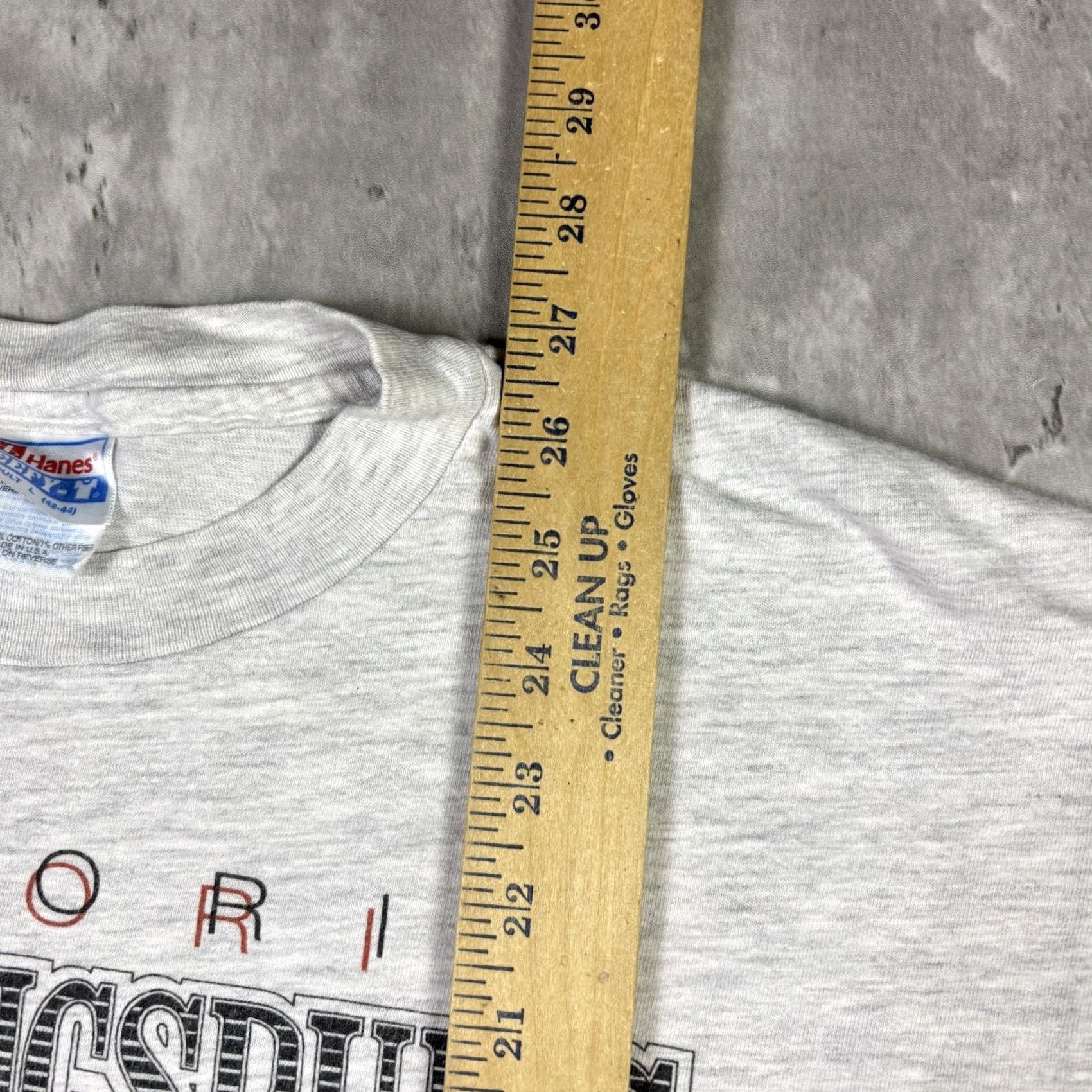Hanes VINTAGE Hanes T-Shirt 90s Crew Neck Short Sleeve Gray Cotton Adult L 101 Dalmatians Mechanisburg PA United States Single Stitch Vintage Yes Mens Size US L / EU 52-54 / 3 - 4 Thumbnail