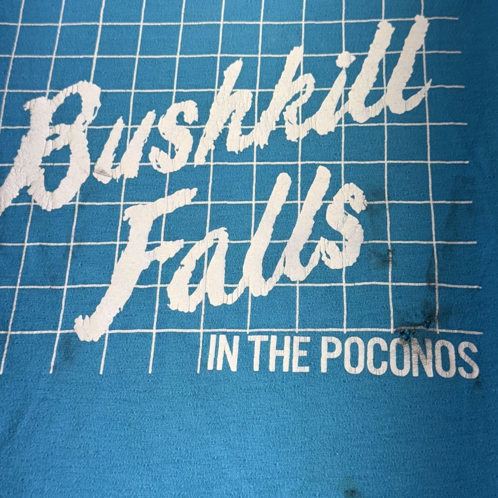 Vintage Vintage Bushkill Falls T-Shirt Mens Small Sleeveless 80s Graphic Poconos Nature Vintage Tee Size US S / EU 44-46 / 1 - 2 Thumbnail