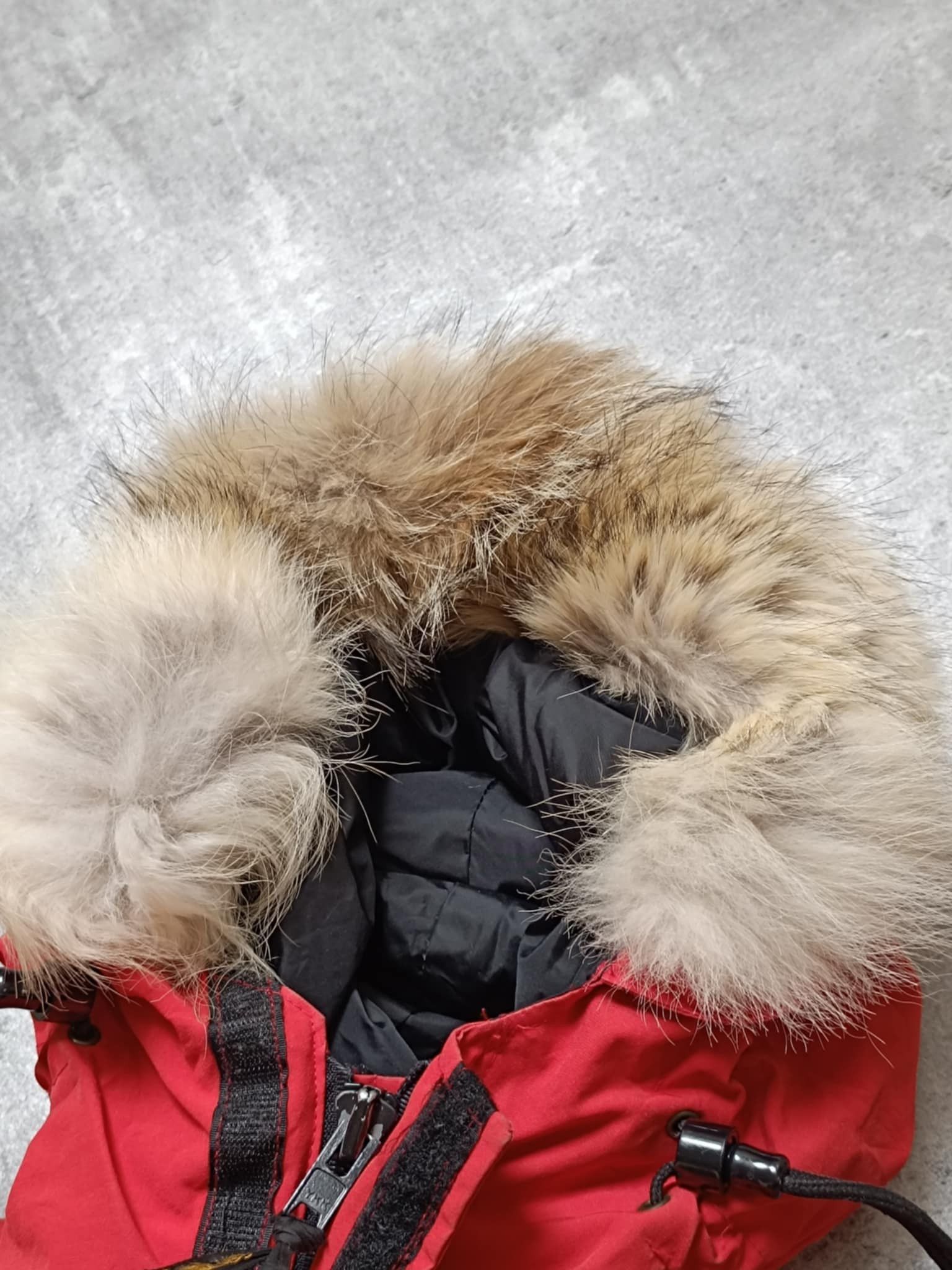 Canada Goose Canada Goose Expedition Parka Down Jacket Size US L / EU 52-54 / 3 - 7 Thumbnail