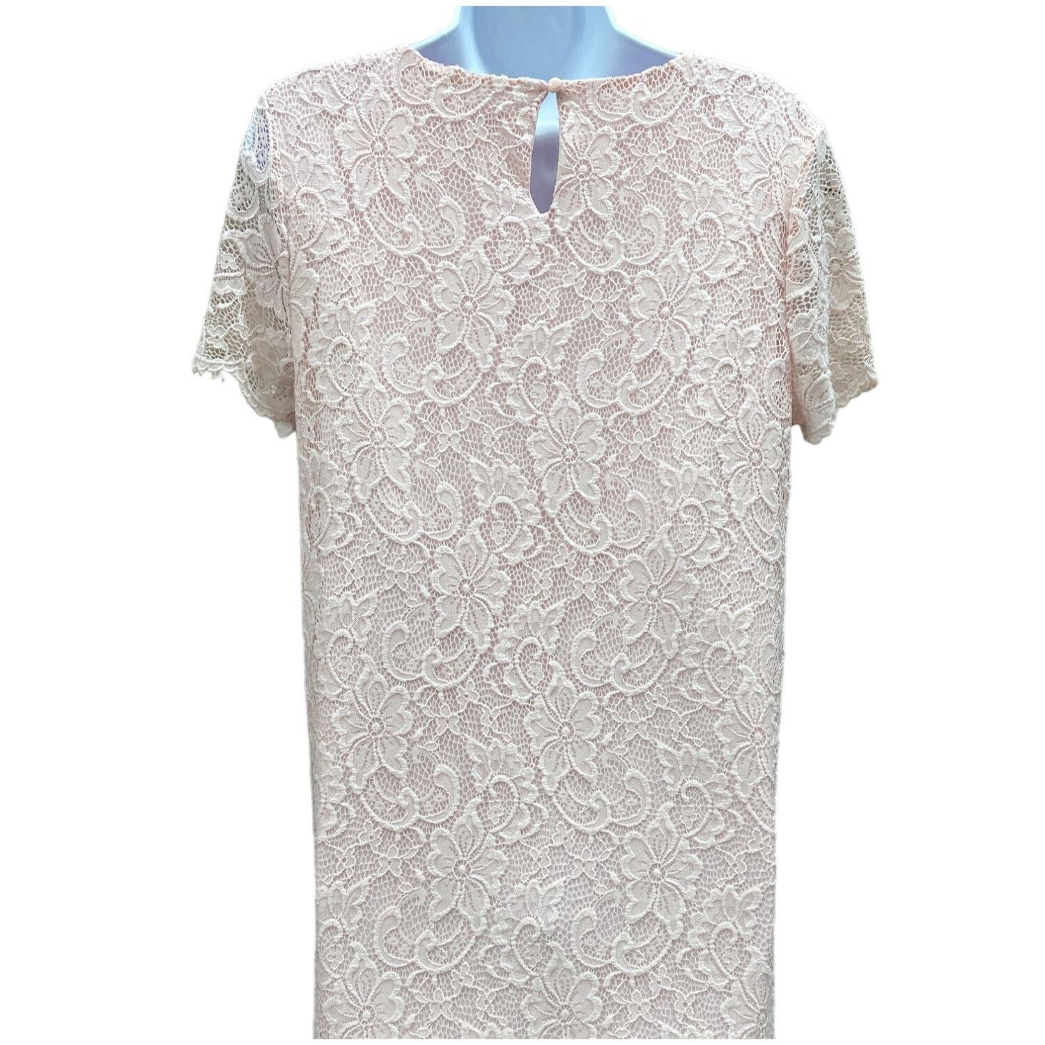 Juicy Couture Juicy Couture Women's Pink Lace lined Dress Size L SKU 1267 Size L / US 10 / IT 46 - 2 Thumbnail