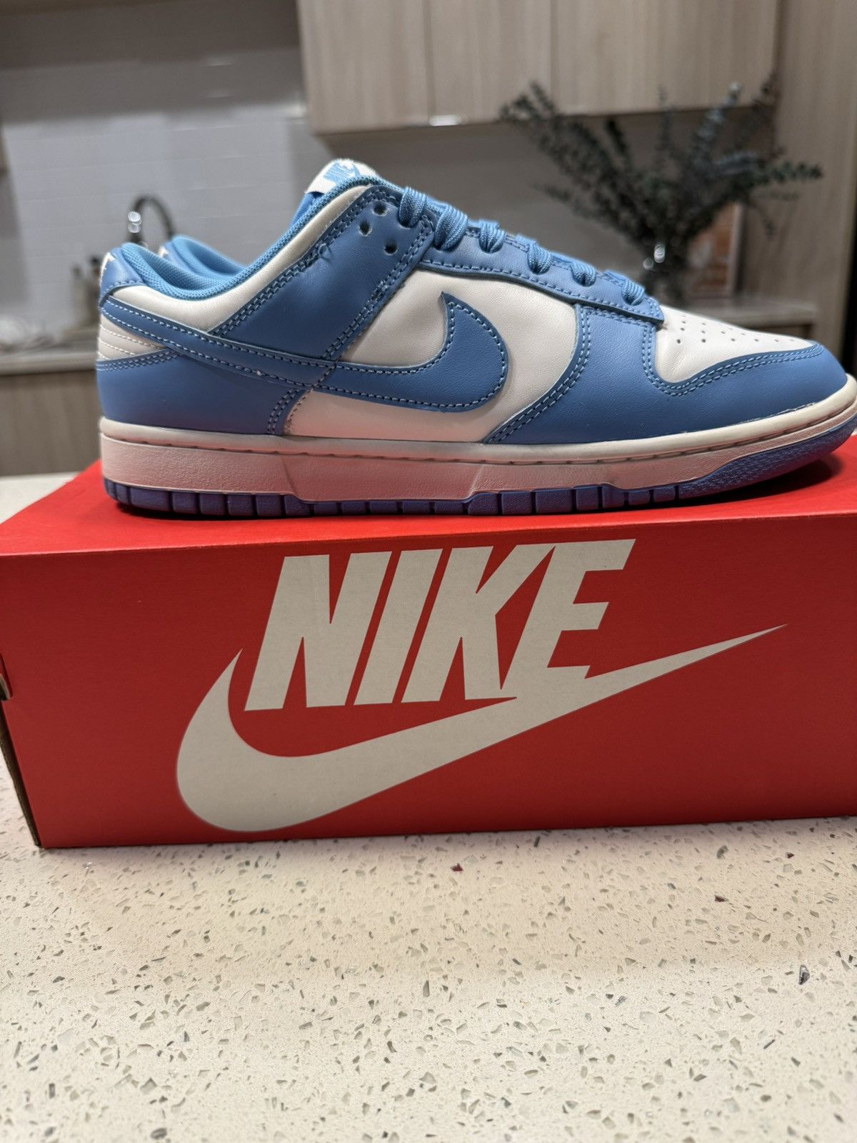 Nike Nike Dunk Low “UNC” Size US 9.5 / EU 42-43 - 3 Thumbnail