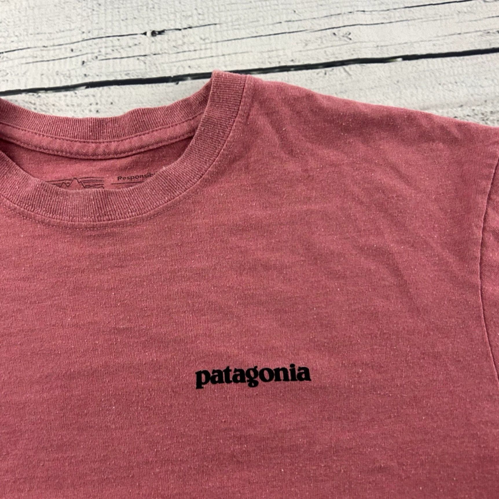 Patagonia Patagonia Fitz Roy Logo Regular Fit Short Sleeve T Shirt Men's Small Pink Mens Size US S / EU 44-46 / 1 - 2 Thumbnail