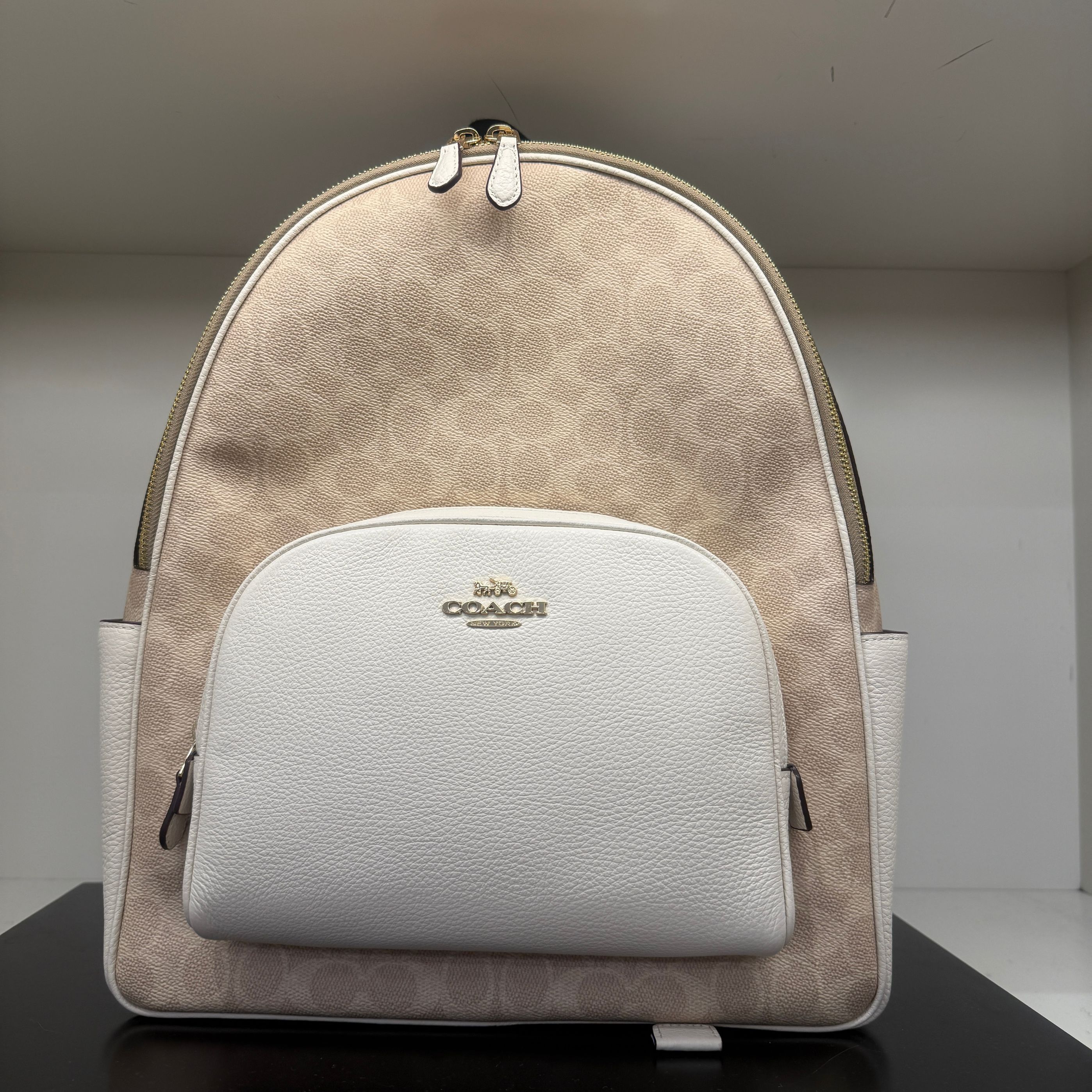 coach Large Court Backpack In Signature Canvas cz175