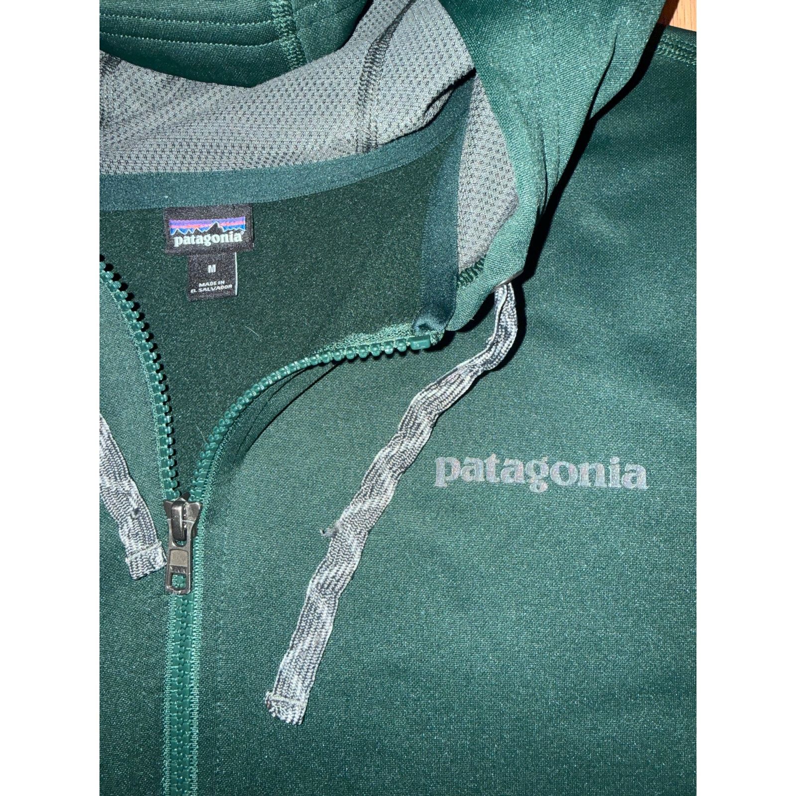 Patagonia Patagonia Green FullZip Hoodie Performance Jacket Men Medium Size US M / EU 48-50 / 2 - 2 Thumbnail