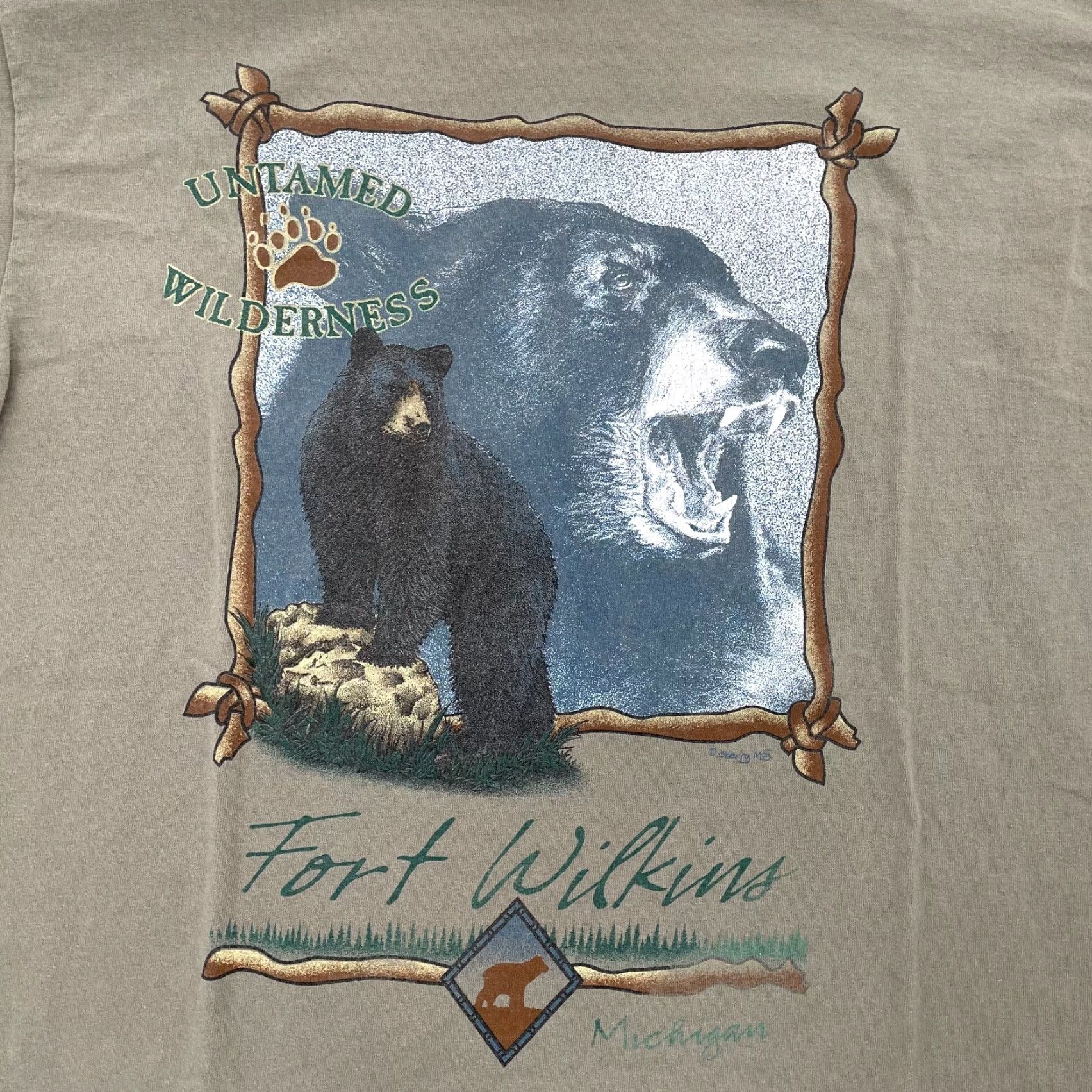 Tultex VINTAGE Michigan T-Shirt Adult XL Bear Fort Wilkins State Park 90s USA Cotton Size US XL / EU 56 / 4 - 4 Thumbnail