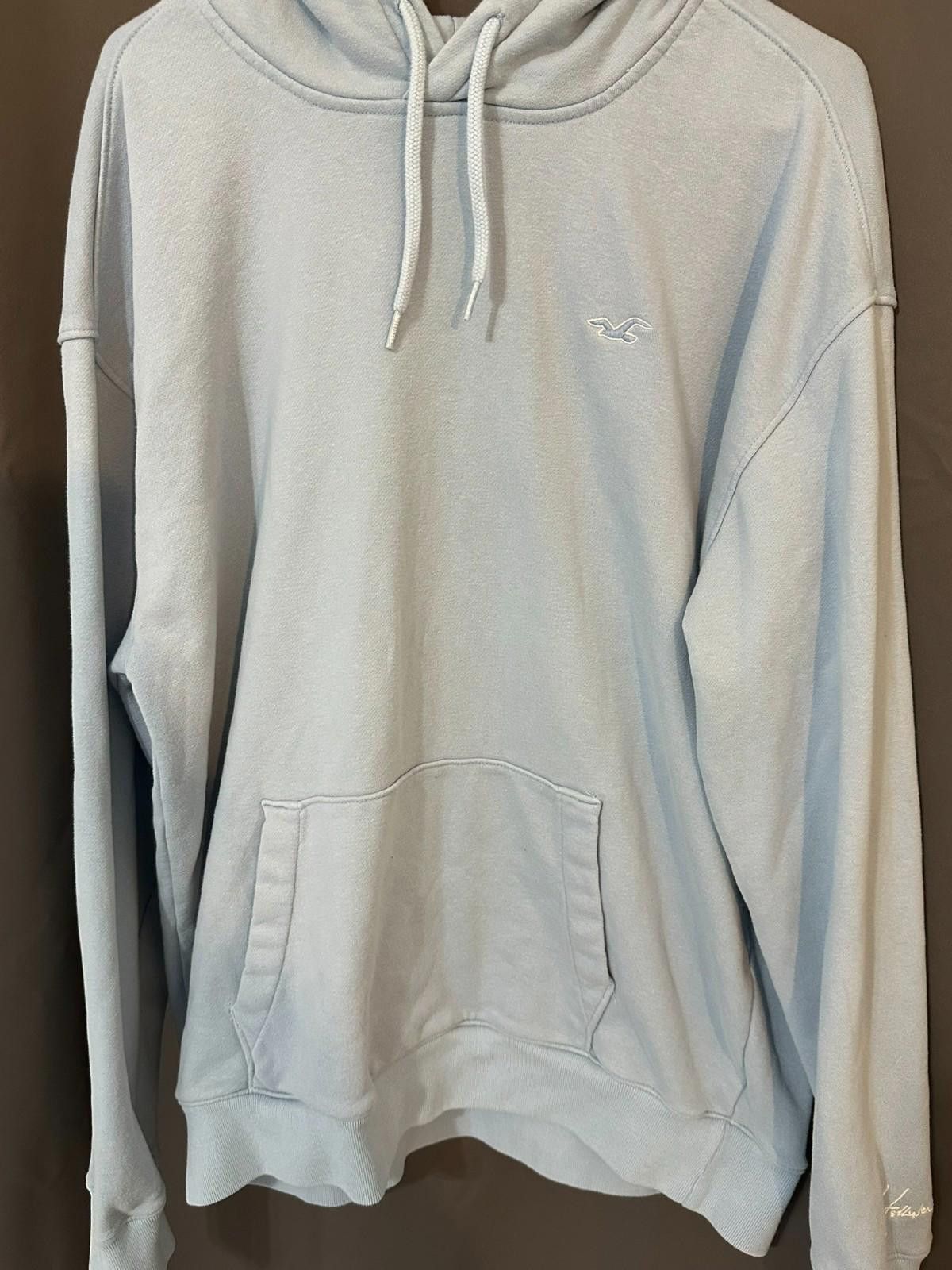 Hollister Hollister hoodie in XL pale blue -embroidered bird logo Size US XL / EU 56 / 4 - 3 Thumbnail