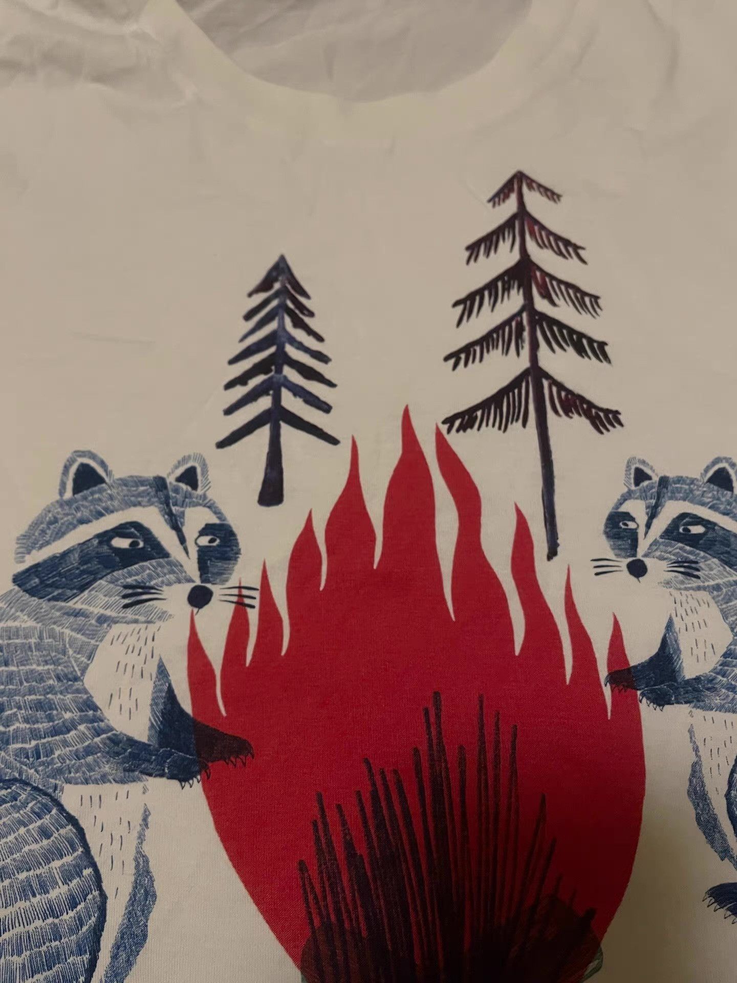 Dsquared2 DSquared2 raccoon short-sleeve T-shirt. Q4 Size US L / EU 52-54 / 3 - 5 Thumbnail