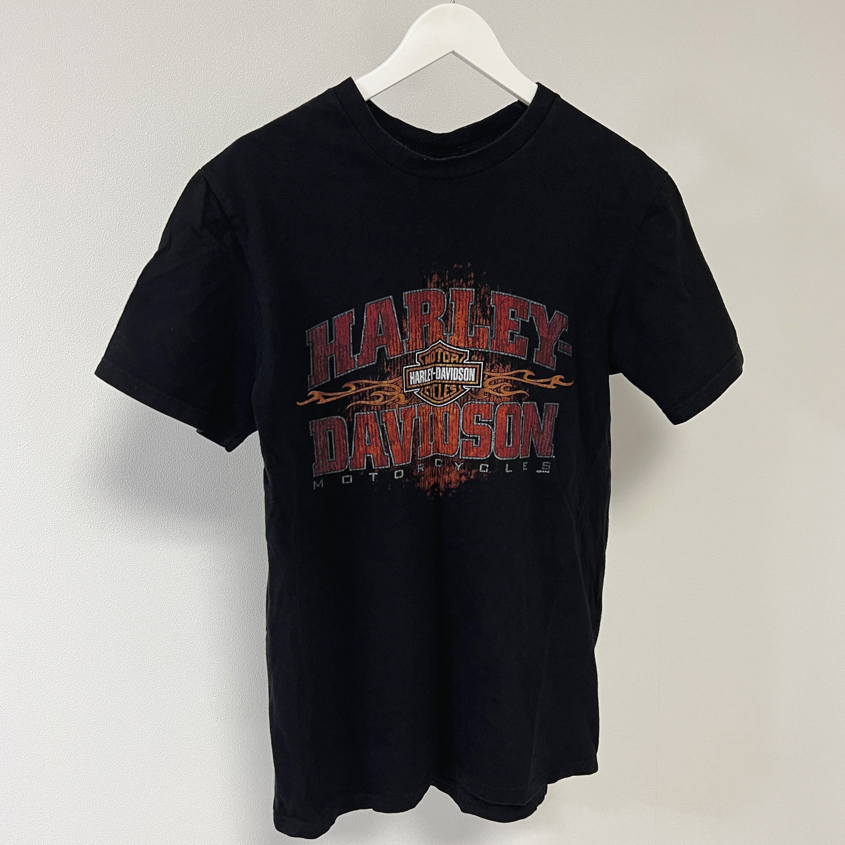 Harley Davidson Harley Davidson Ninja Turtle Motorcycle T-Shirt Size US M / EU 48-50 / 2 - 2 Thumbnail