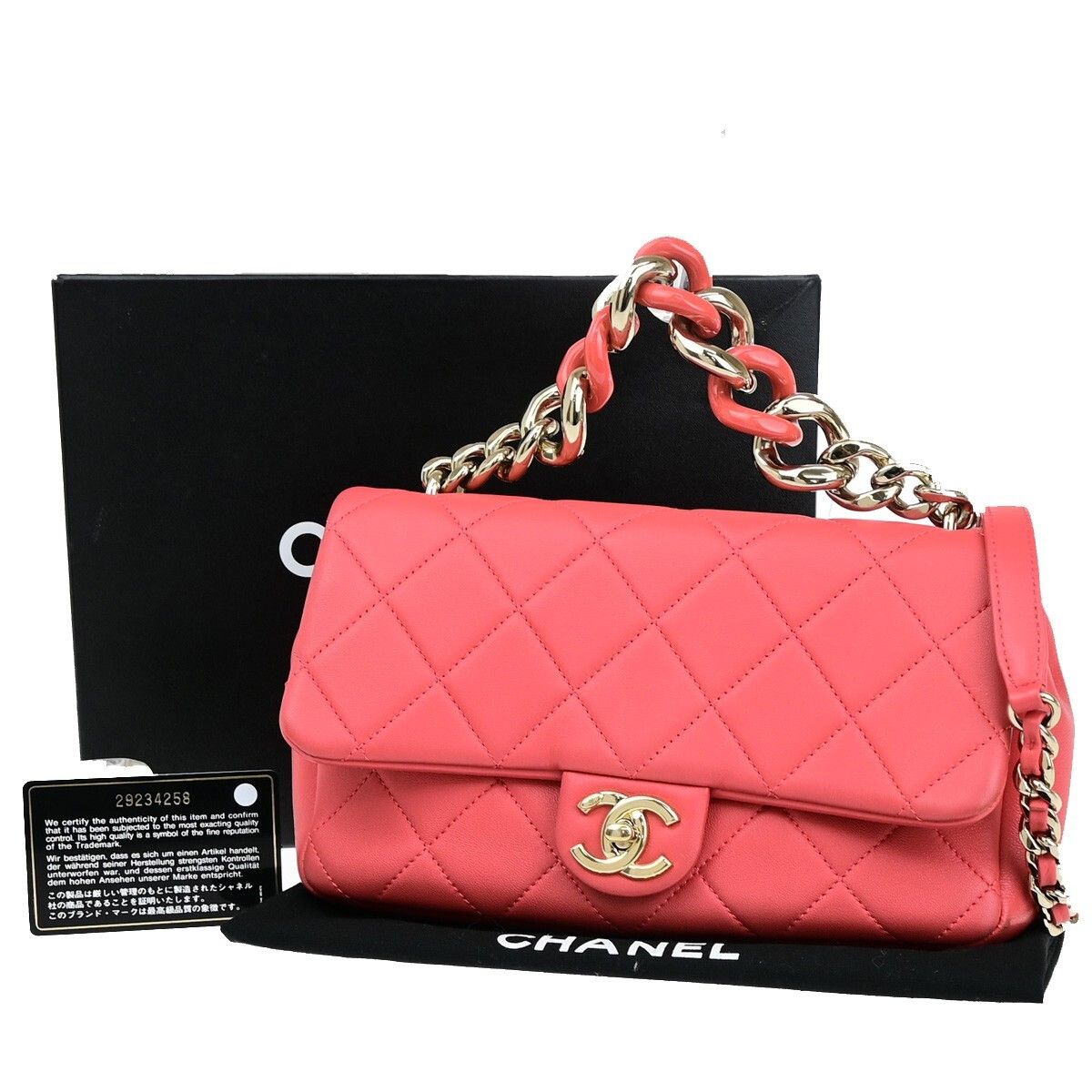 Chanel Chanel Resin Elegant Chain Flap Bag Quilted Lambskin Size ONE SIZE - 1 Thumbnail