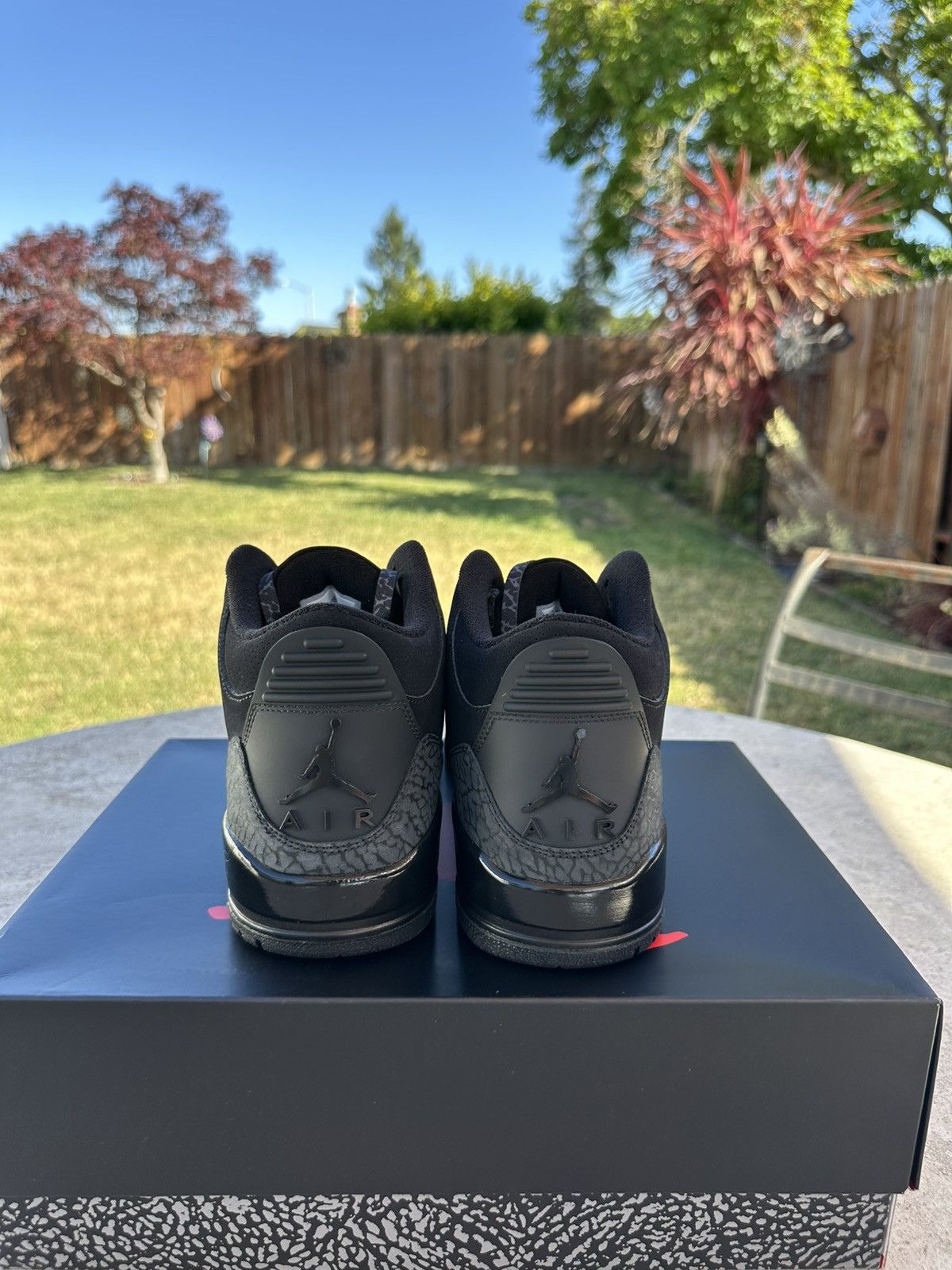 Jordan Brand × Nike Jordan 3 “Blackcat” Size US 11 / EU 44 - 4 Thumbnail