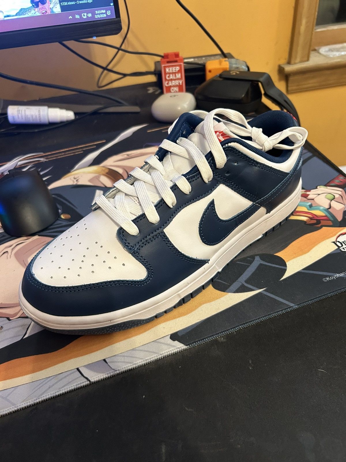 Nike Nike dunk low valerian blue Size US 10.5 / EU 43-44 - 1 Thumbnail