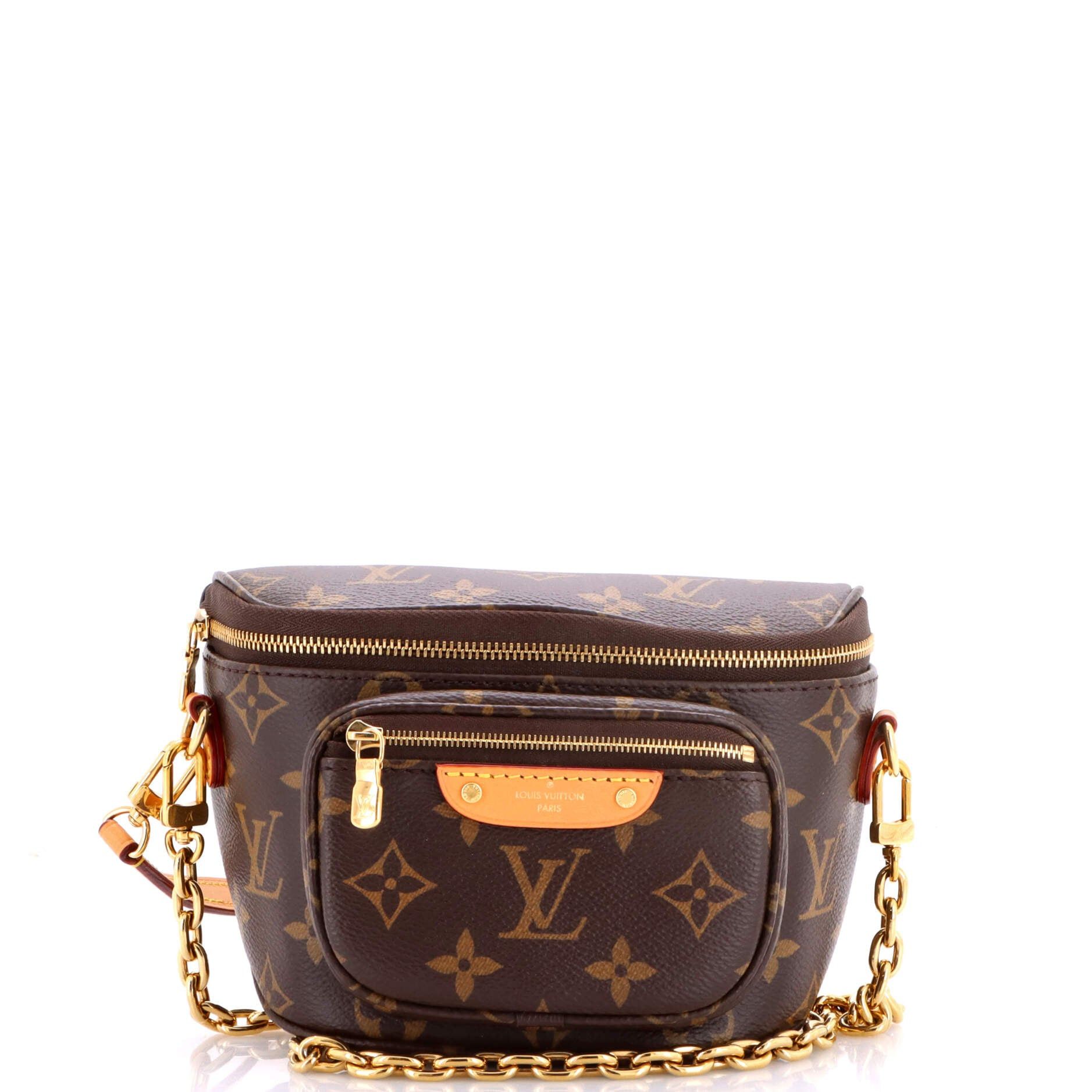 Louis Vuitton Bum Bag Size ONE SIZE - 1 Thumbnail