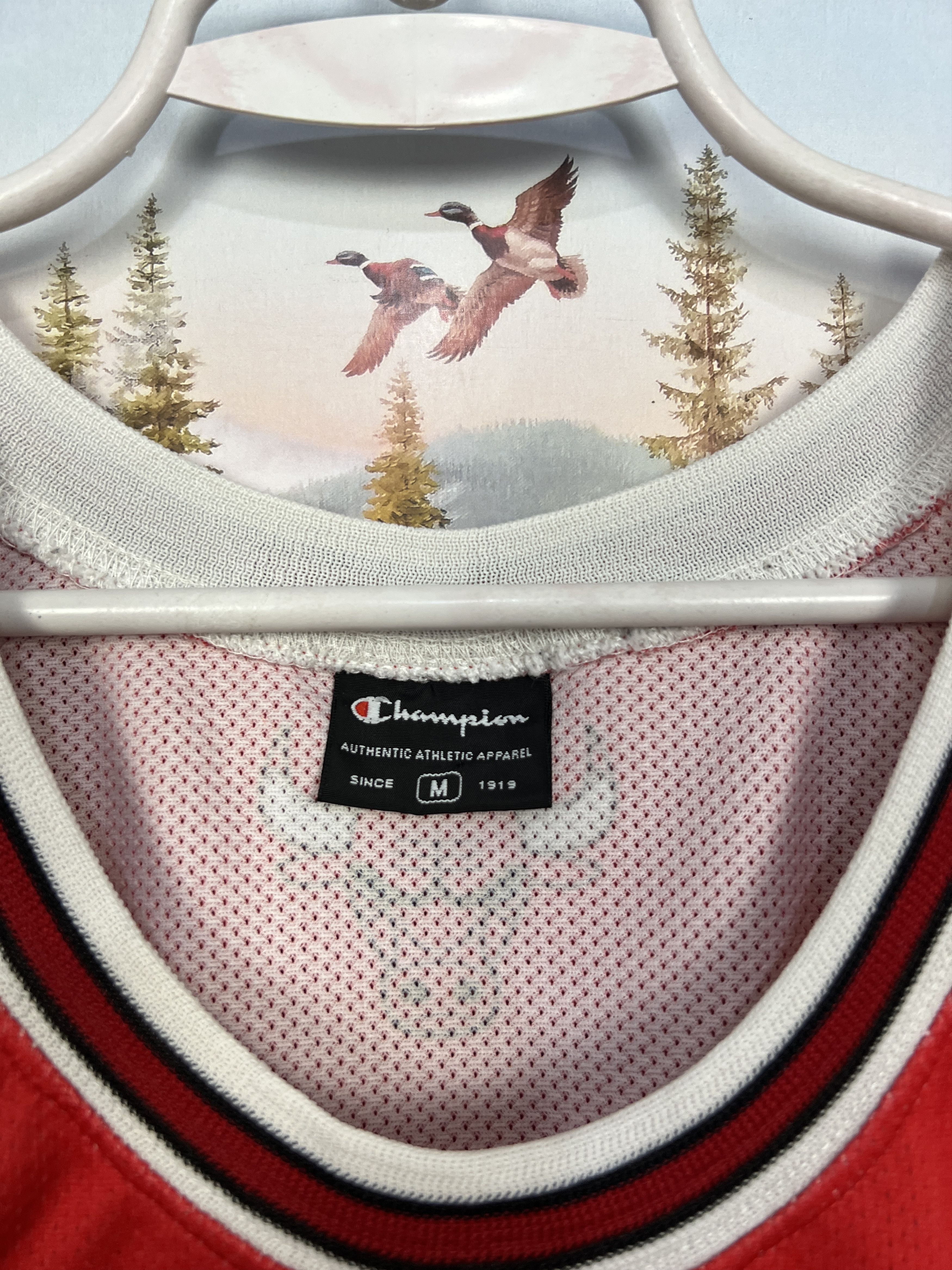 Champion Vintage 90's Champion Chicago Bulls #13 Noah NBA Jersey Size US M / EU 48-50 / 2 - 6 Thumbnail