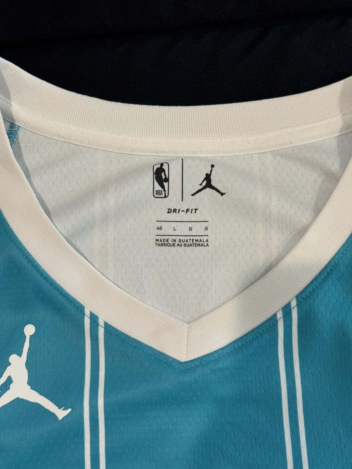 Nike LaMelo Ball Charlotte Hornets Jordan Jersey (Men’s L) Size US L / EU 52-54 / 3 - 2 Thumbnail