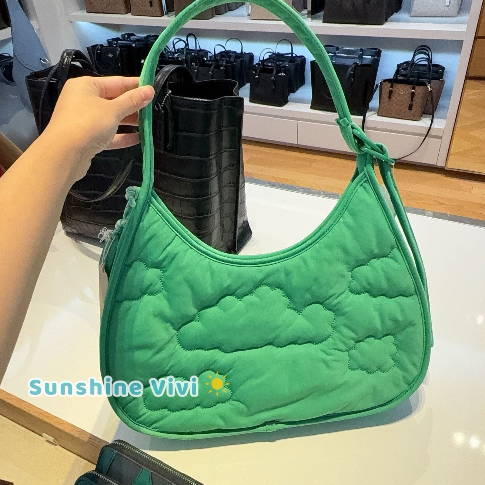 Coach NWT Coach CV875 Coachtopia Loop Ergo Bag Cloud Kelp Purse Size ONE SIZE - 5 Thumbnail