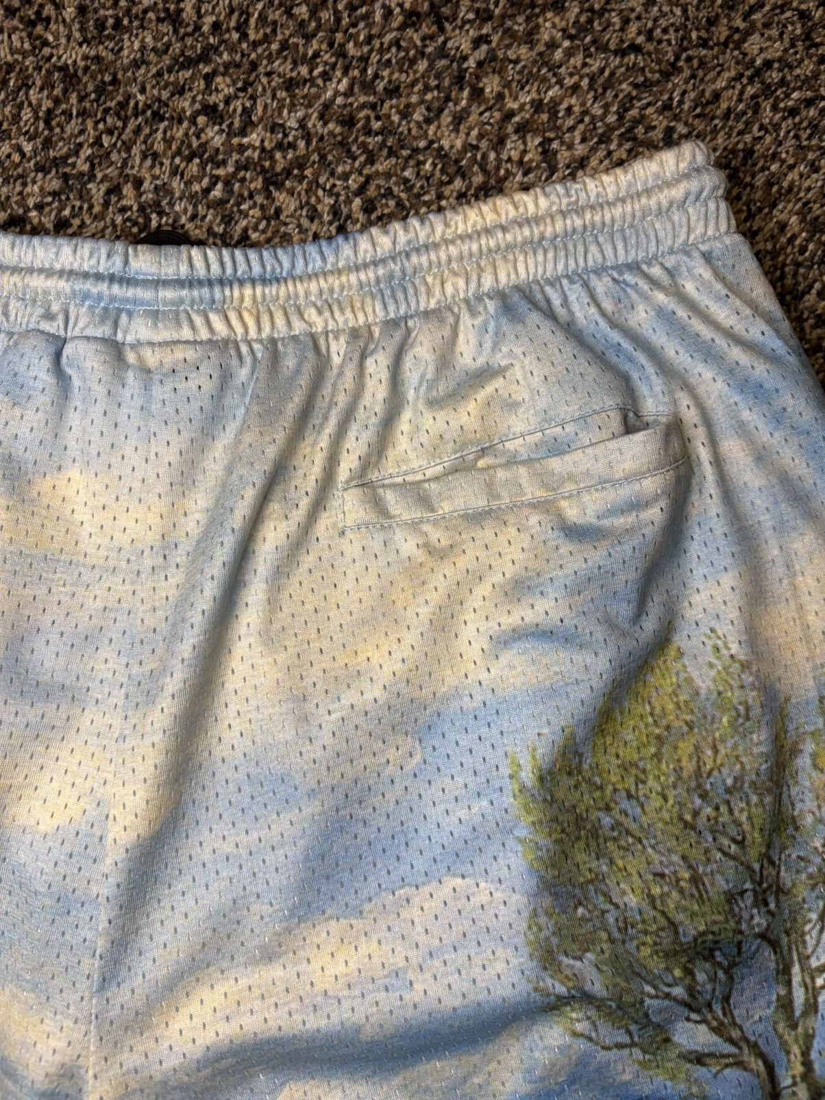Fucking Awesome Fucking Awesome Landscape Mesh short Size US 38 / EU 54 - 6 Thumbnail