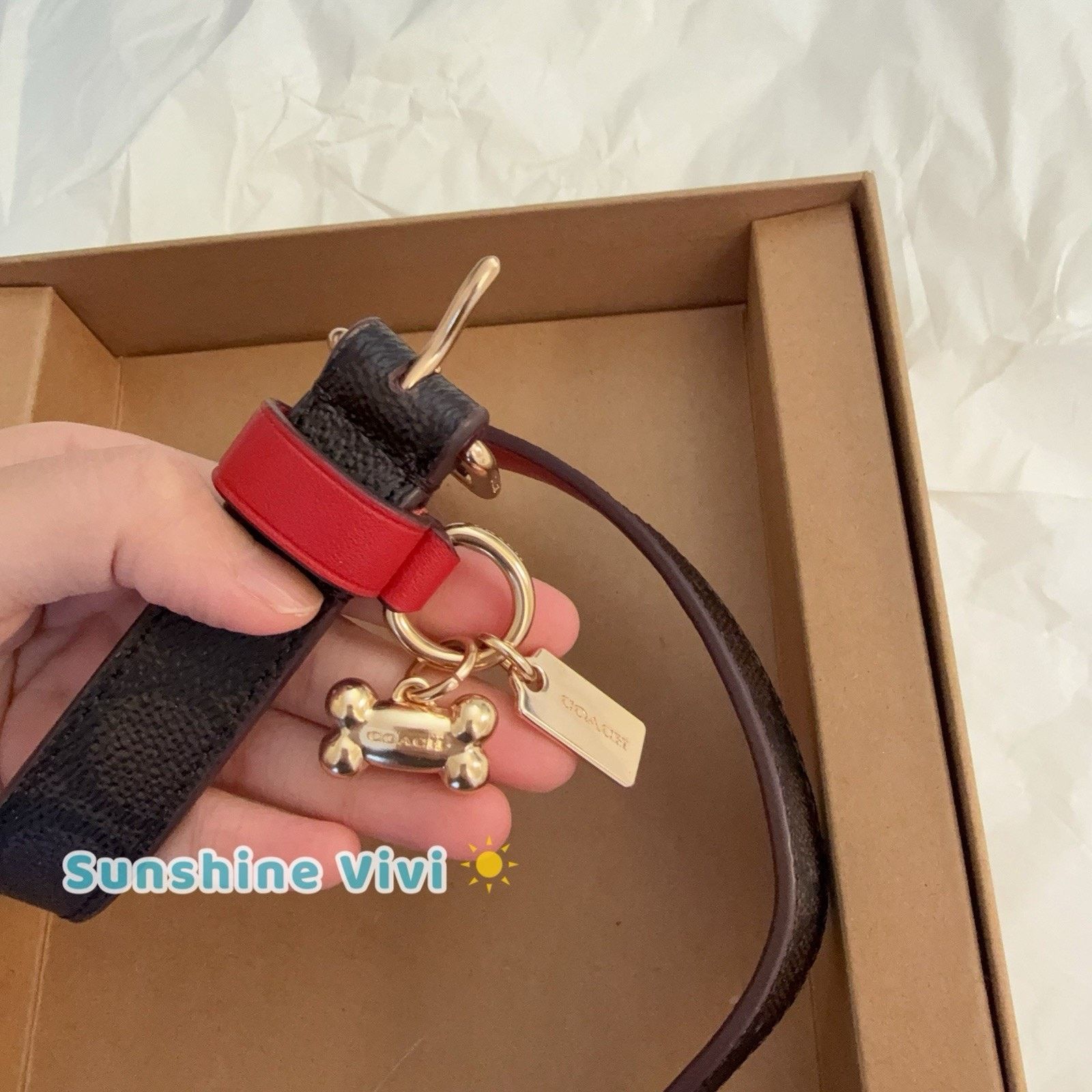Coach NWT Coach Boxed Medium Pet Collar CX157 Gold/Walnut/Bold Red Size ONE SIZE - 6 Thumbnail