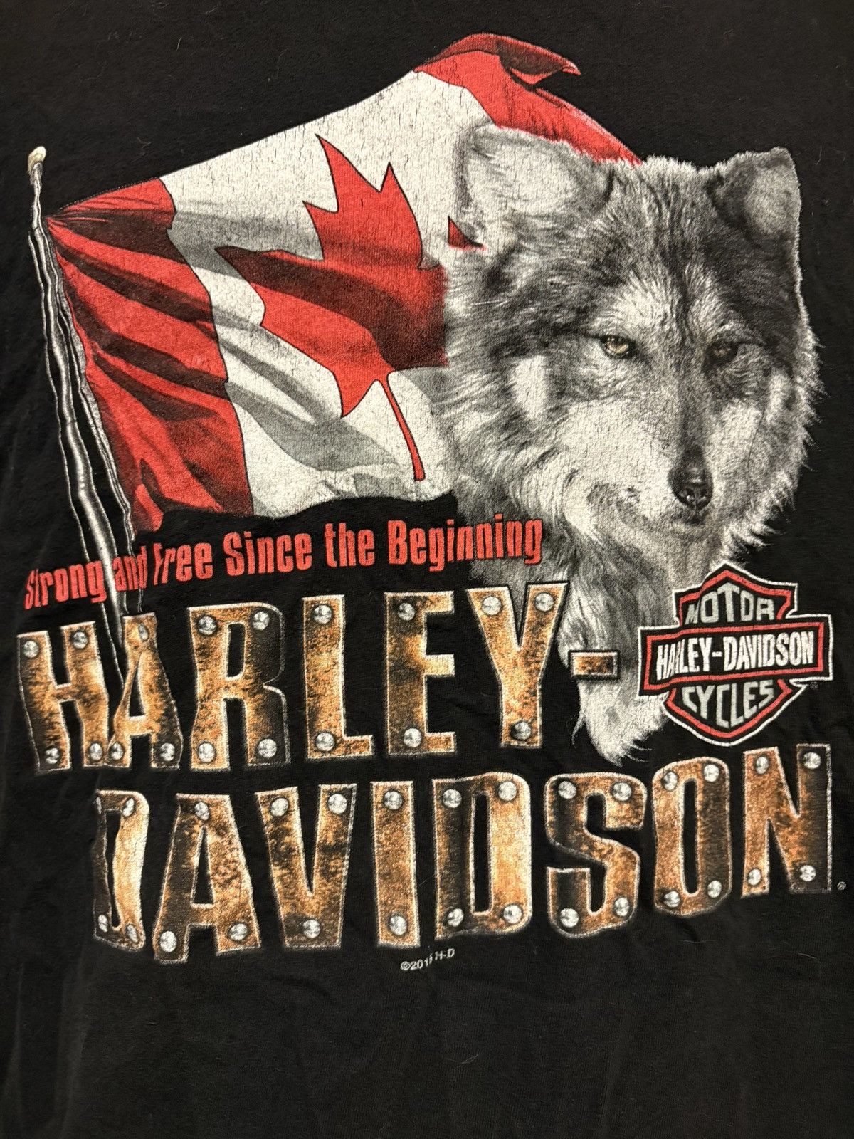 Harley Davidson Harley Davidson Tshirt Banff Canada Bear Motorcycle Grail Size US XXL / EU 58 / 5 - 2 Thumbnail