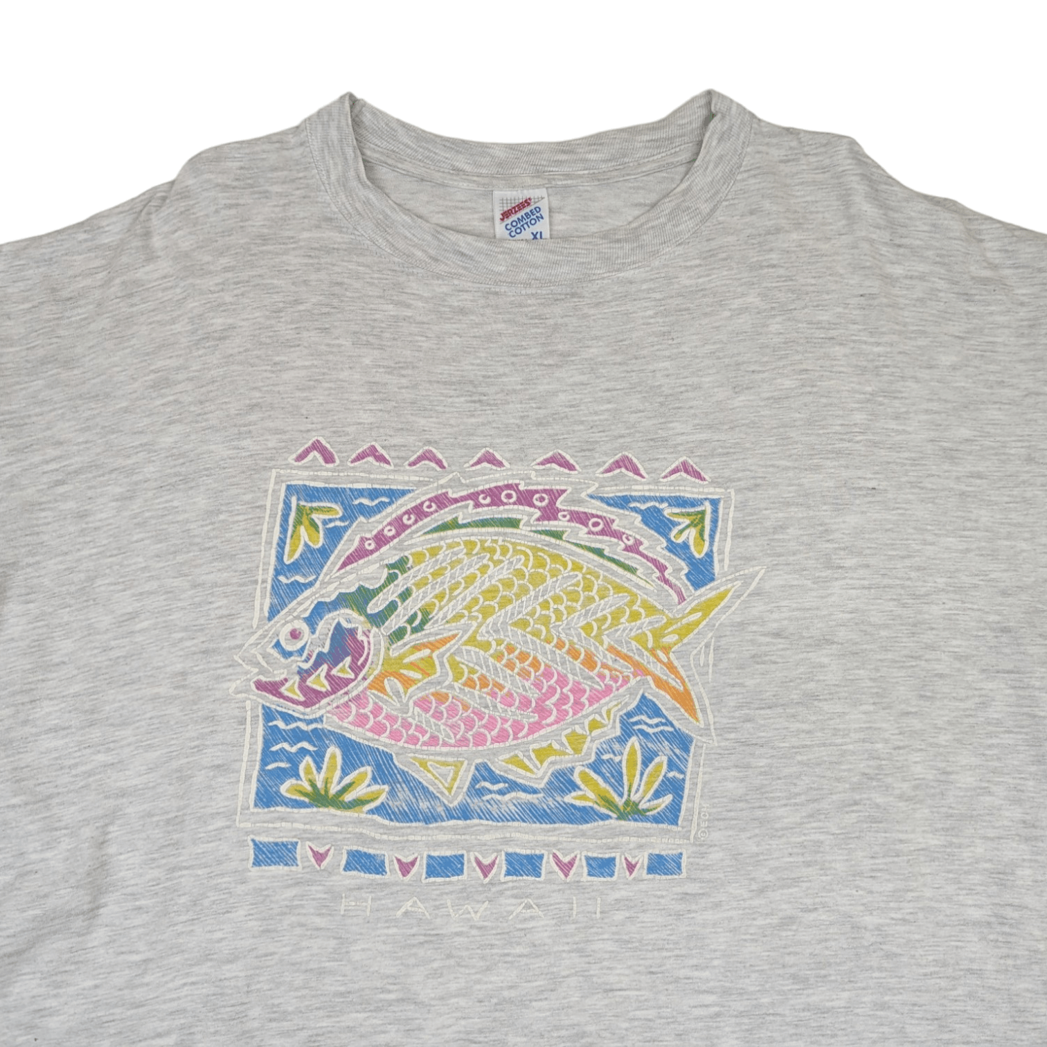 Vintage 2000's HAWAII Colourful Fish Graphic T-Shirt