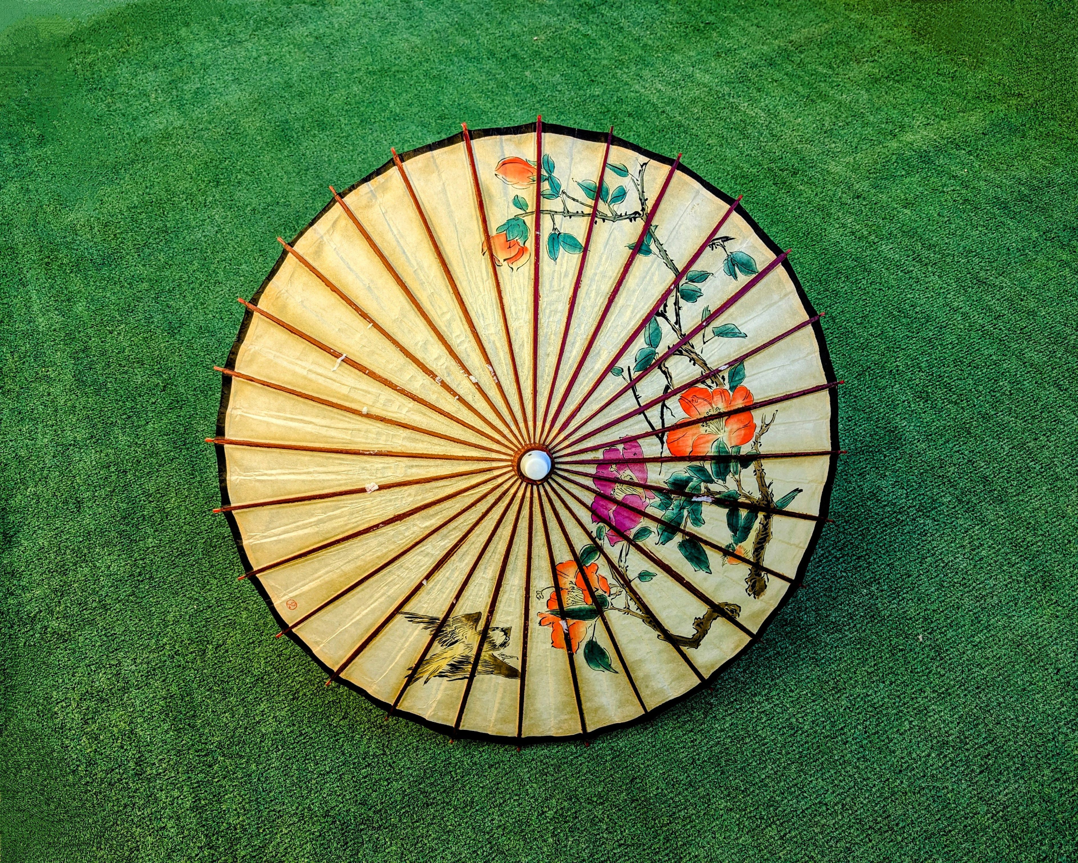 Vintage Sparrow & Flowers Small Bamboo Wax Paper Parasol Umbrella Size ONE SIZE - 4 Thumbnail