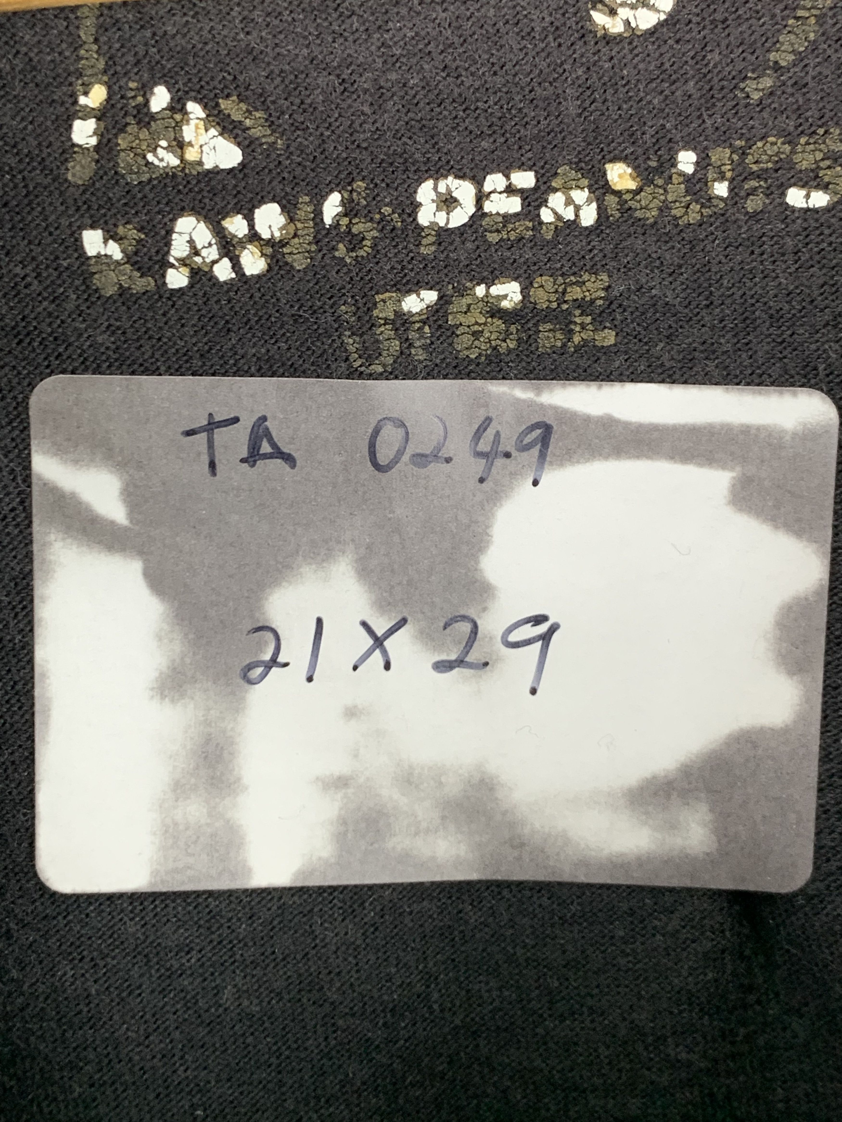 Kaws × Uniqlo Uniqlo Kaws Peanuts Tees TA0249 Size US L / EU 52-54 / 3 - 12 Thumbnail