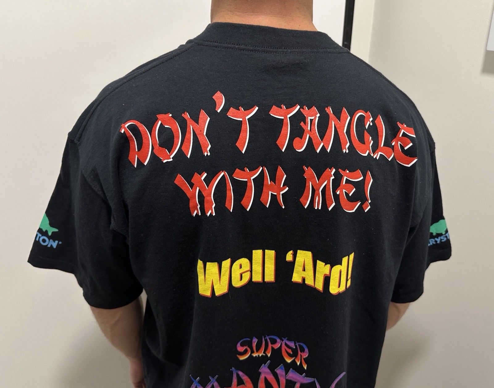 Gildan Vintage 90s Don’t Tangle With Me Super Mantis Shirt Graphic Size US XL / EU 56 / 4 - 8 Thumbnail